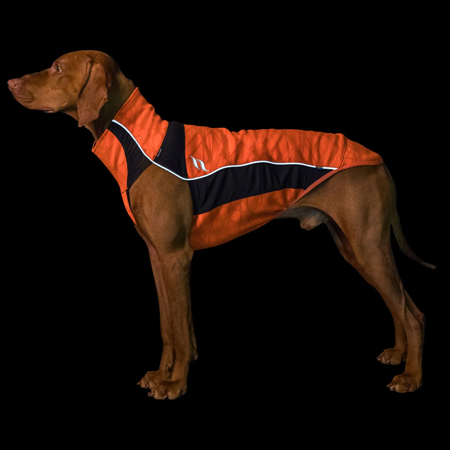 Back on Track Eddie High-Visibility genser, 50-55 cm