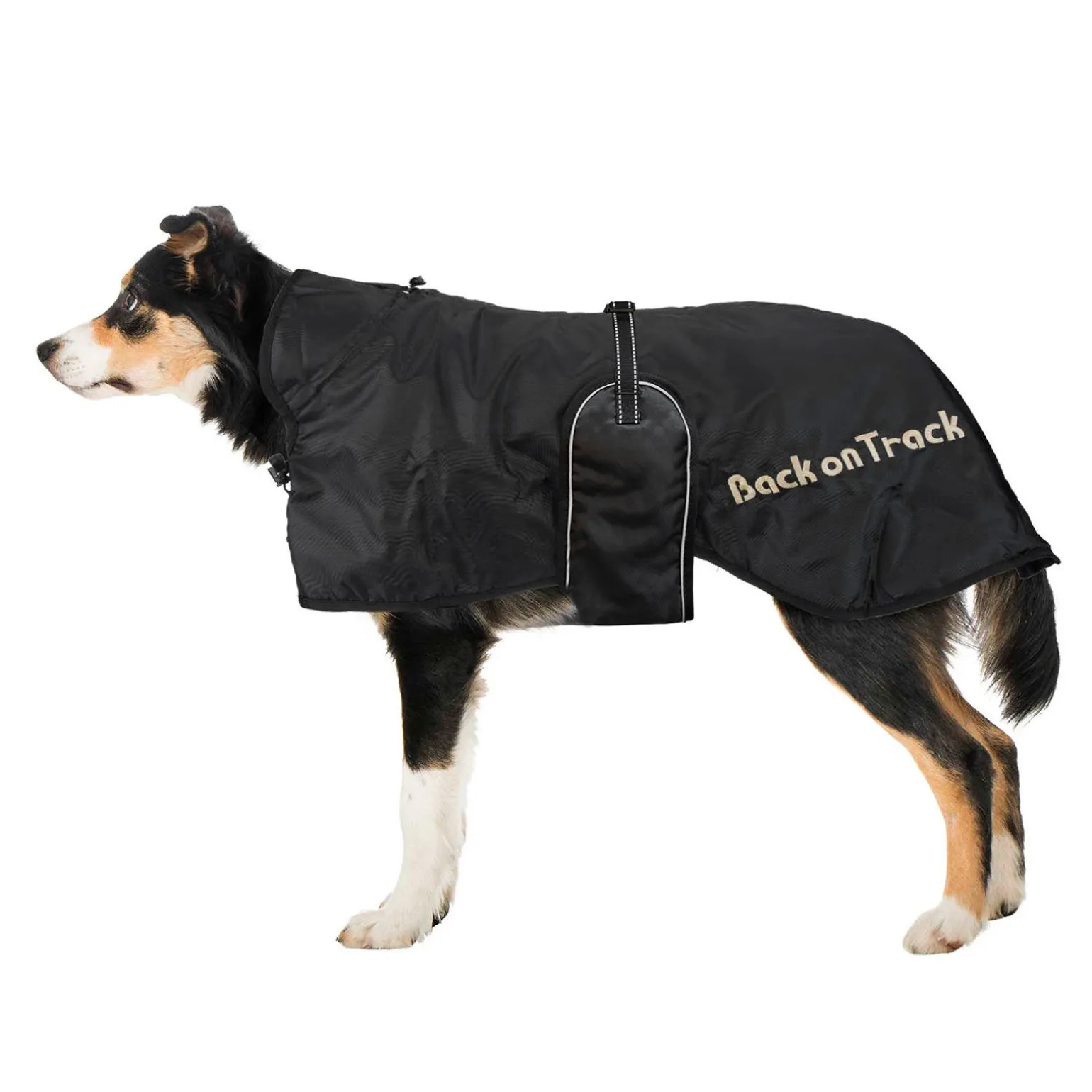 Back on Track hundedekken (63-91)
