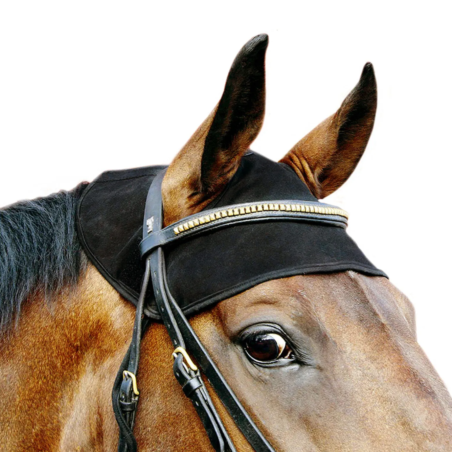 Back on Track nakkebeskytter til hest