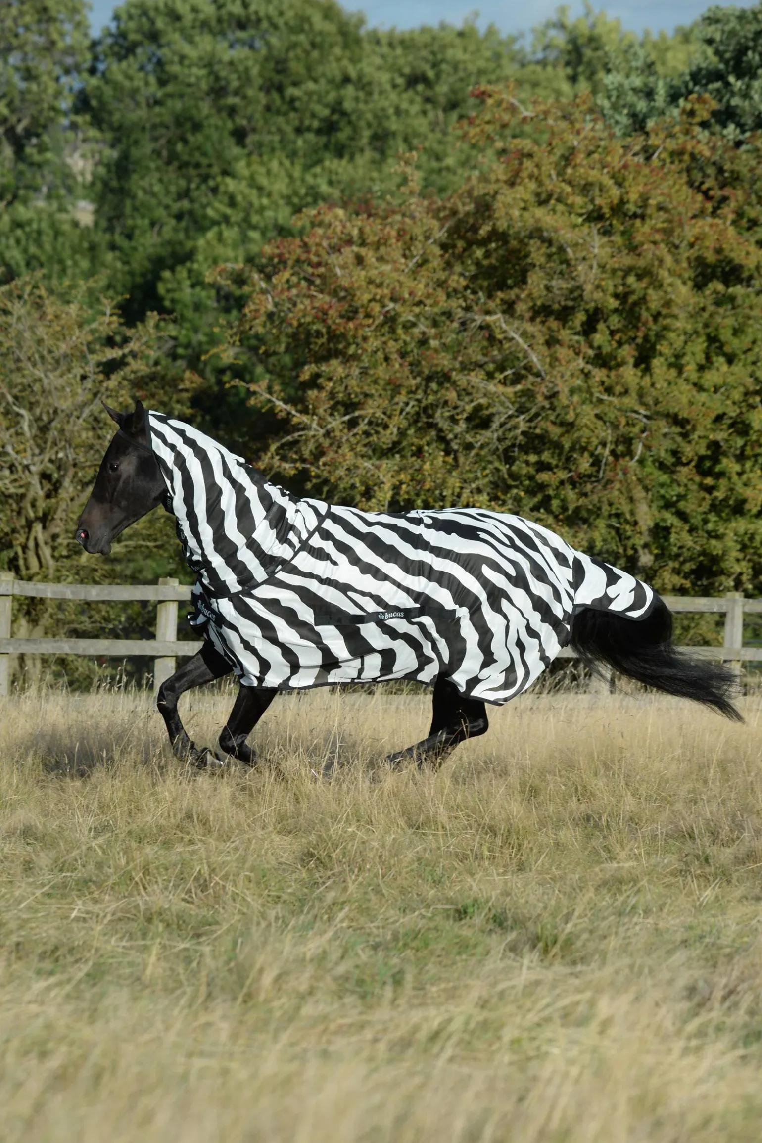 Bucas Buzz-Off Zebra fluedekken med avtagbart halsstykke