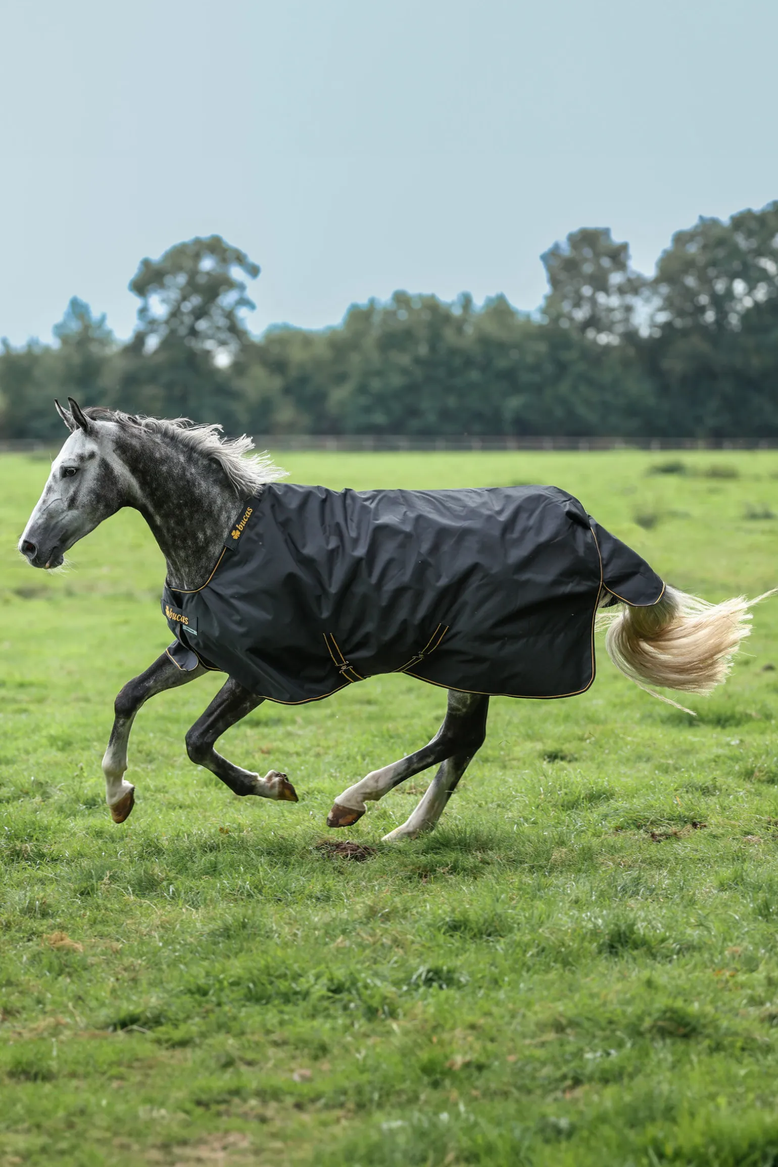 Bucas Irish Pony utedekken, 50g
