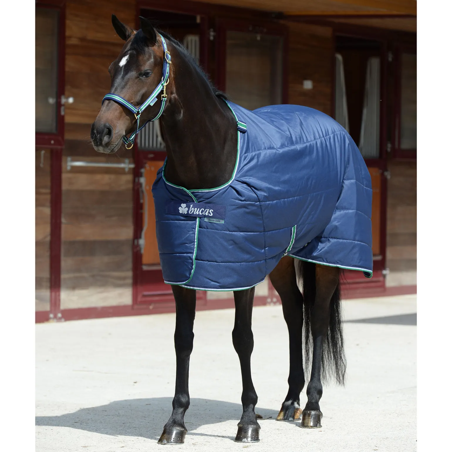 Bucas Quilt 150 gram Big Neck