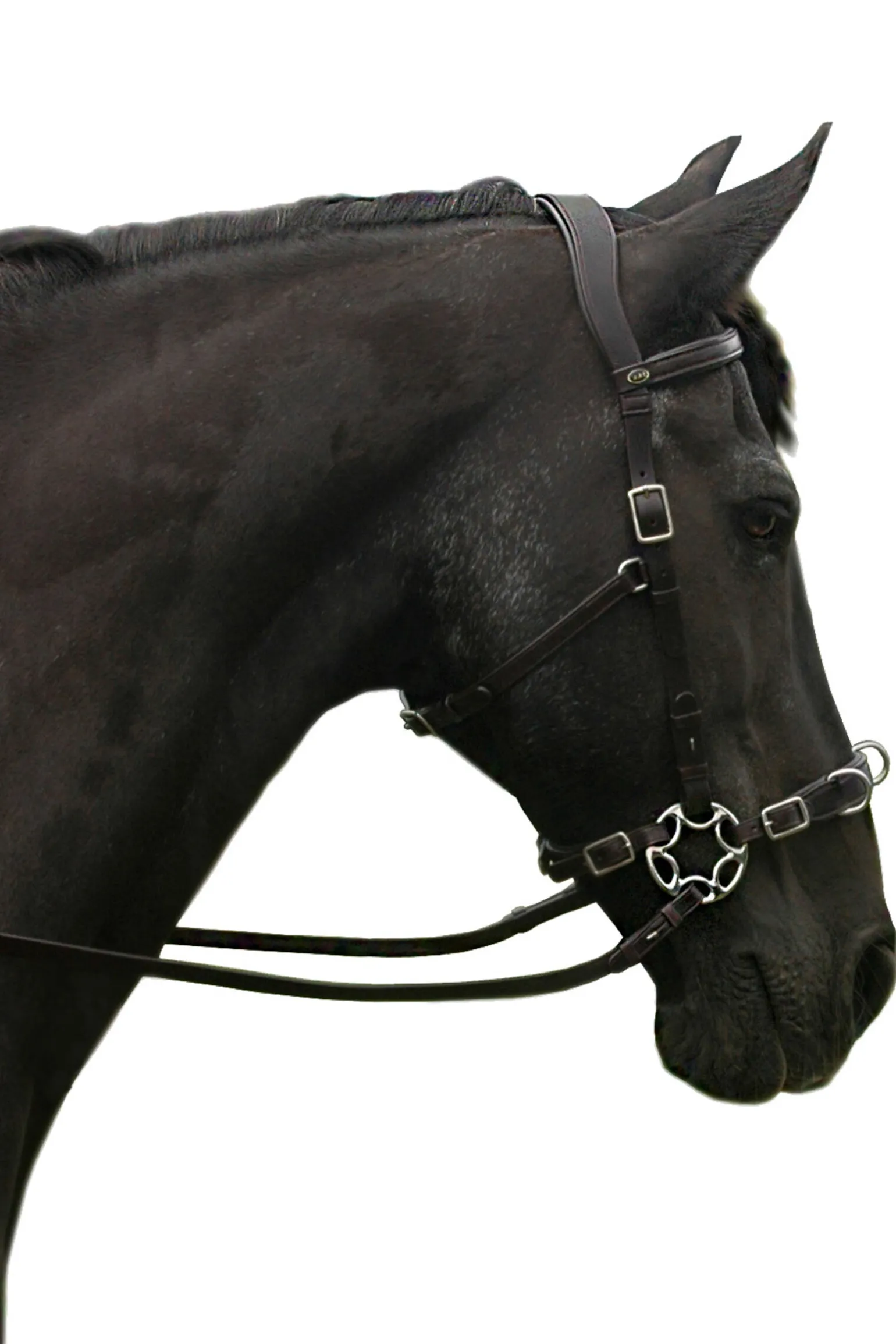 F.R.A. Freedom Riding Articles Caval komplett cavemore hodelag (system 2) i engelsk lær, shire