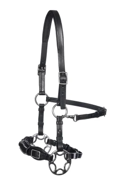 F.R.A. Freedom Riding Articles Miranti Hackamore (system 2) i lær, med kjevestropp og saks