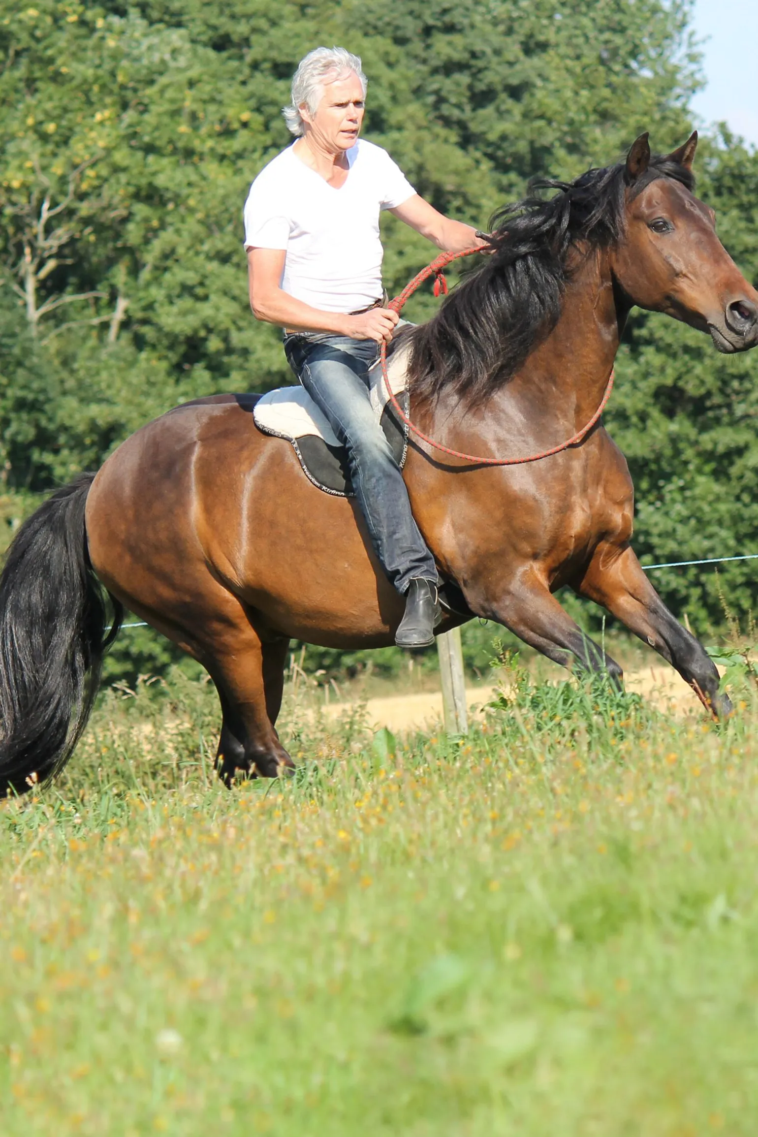 F.R.A. Freedom Riding Articles Free barbakpad, full