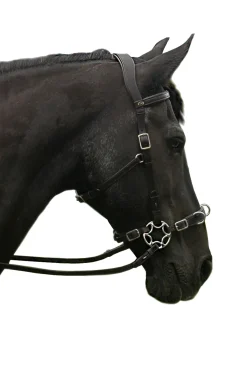 F.R.A. Freedom Riding Articles Caval komplett cavemore hodelag (system 2) med saks og tøyler