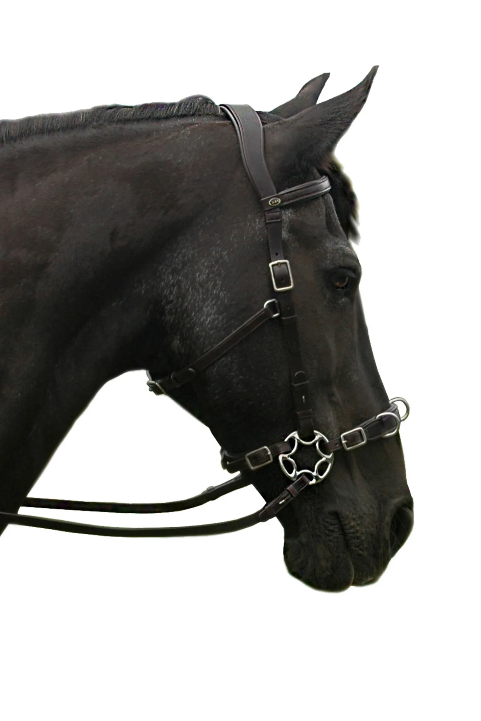 F.R.A. Freedom Riding Articles Caval komplett cavemore hodelag (system 2) med saks og tøyler