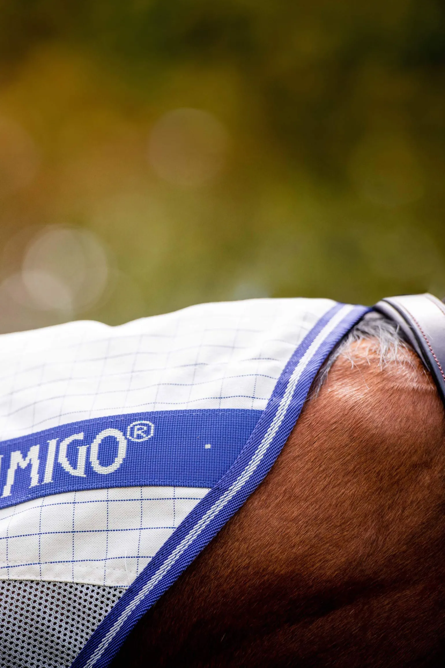 Horseware Amigo Airflow flueteppe med avtakbar nakkedel