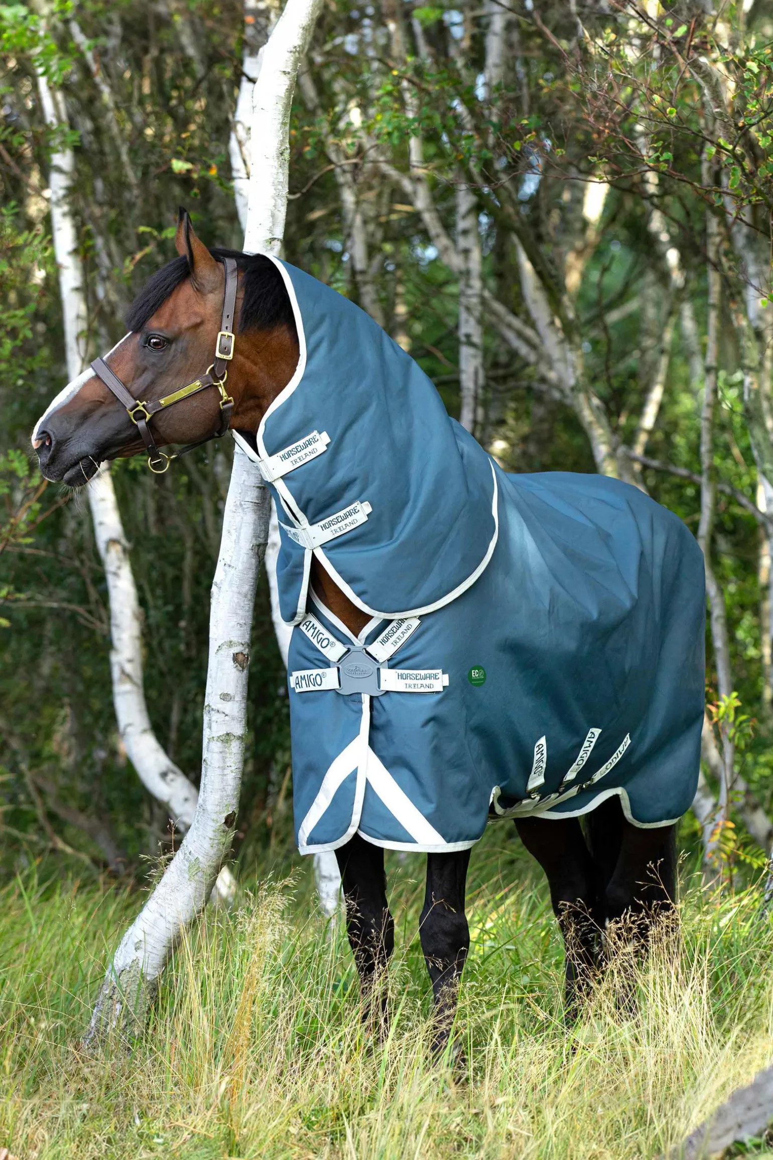 Horseware Amigo AmEco 12 Plus utedekken med avtakbar nakkedel, 100g
