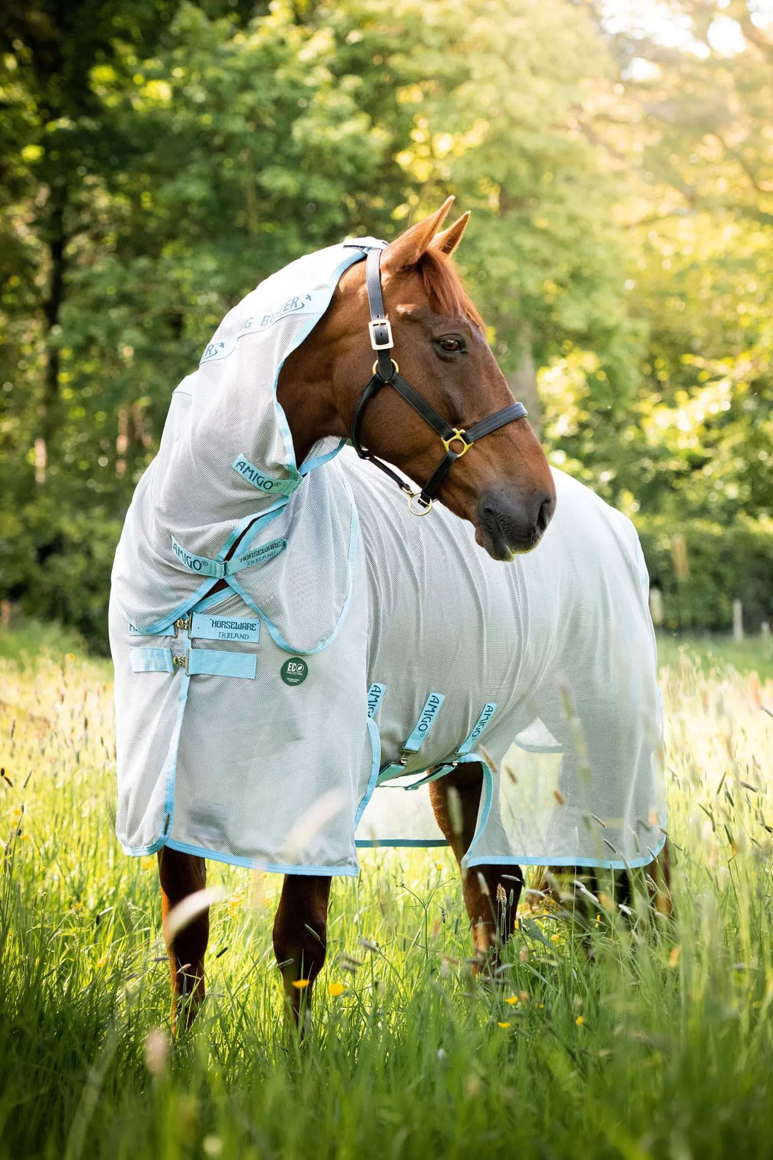 Horseware Amigo AmEco Bug Buster fluedekken med avtakbar nakkedel
