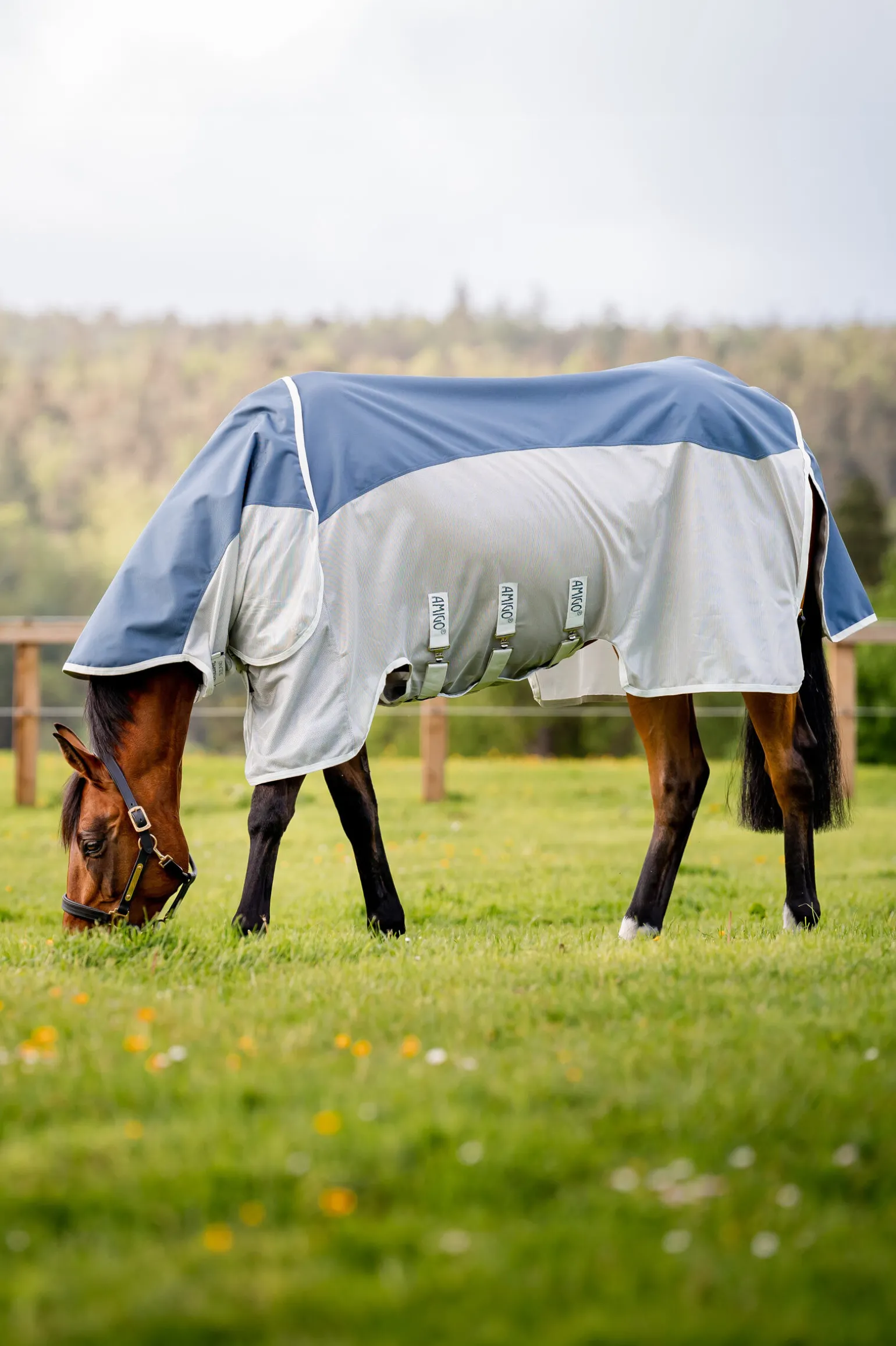 Horseware Amigo AmEco Combi fluedekken