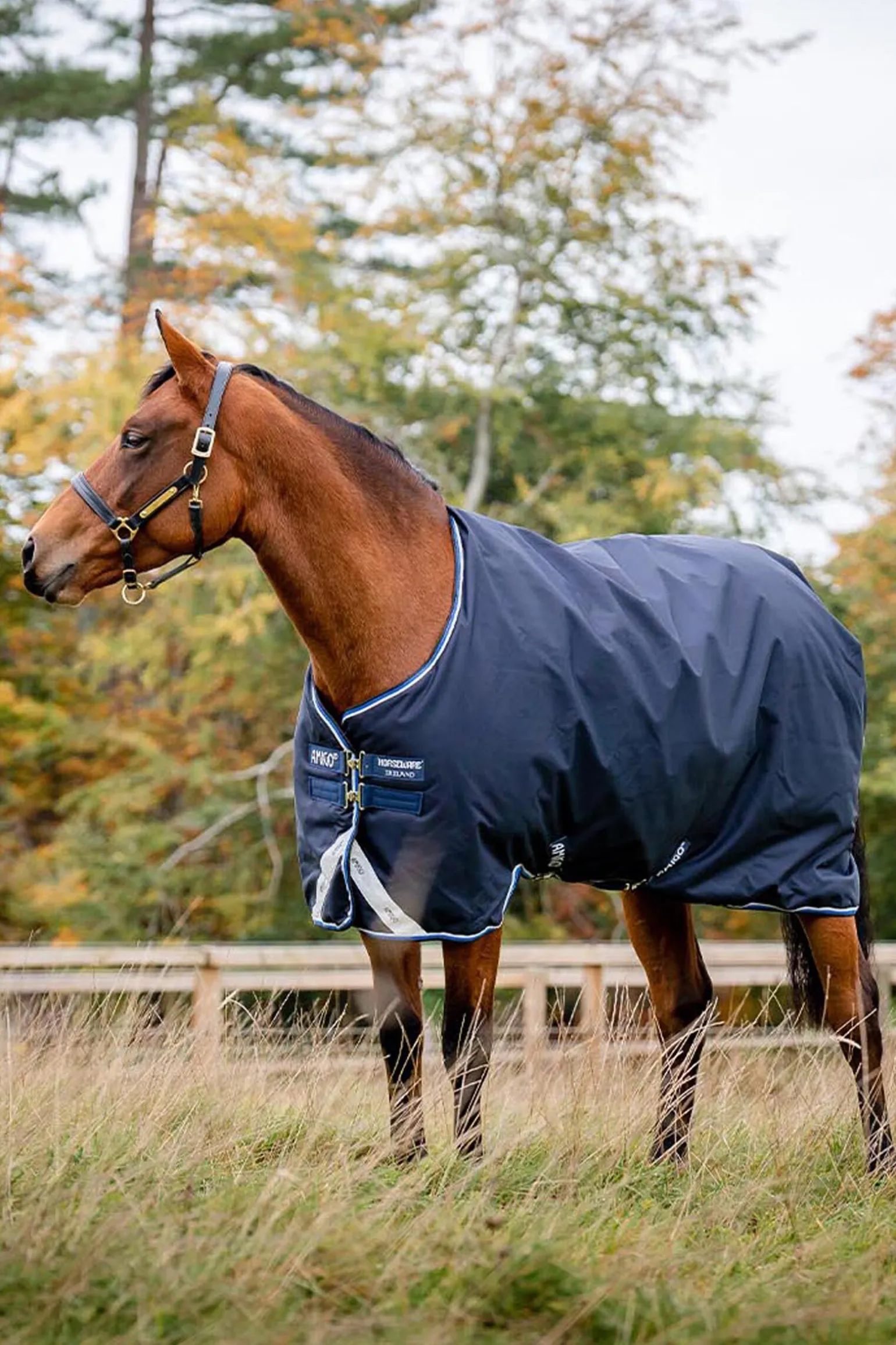 Horseware Amigo Bravo 12 Original utedekken, 250g