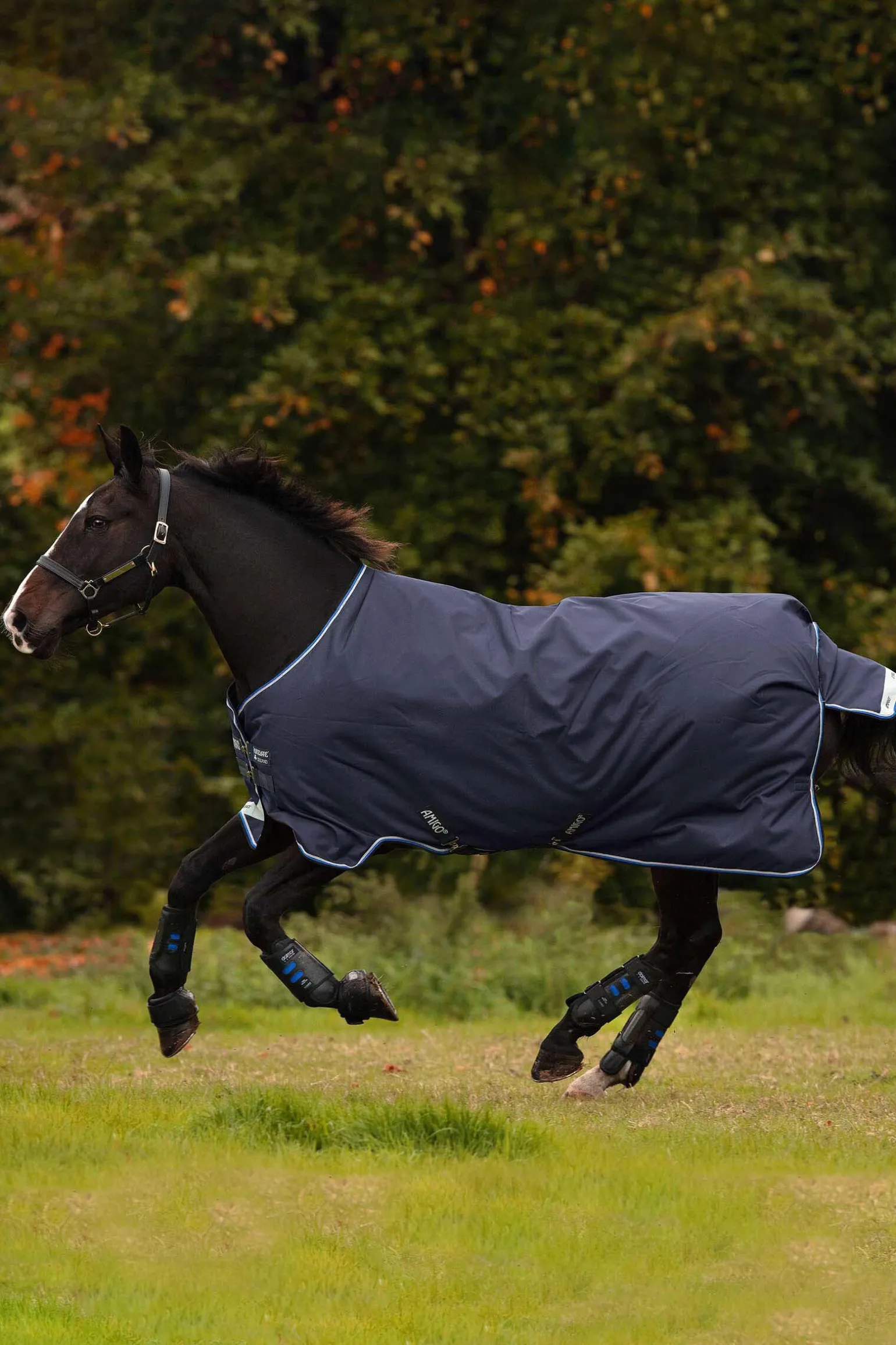 Horseware Amigo Bravo 12 Original utedekken, 250g