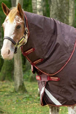 Horseware Amigo Bravo 12 Plus utedekken med avtakbar hals, 100g