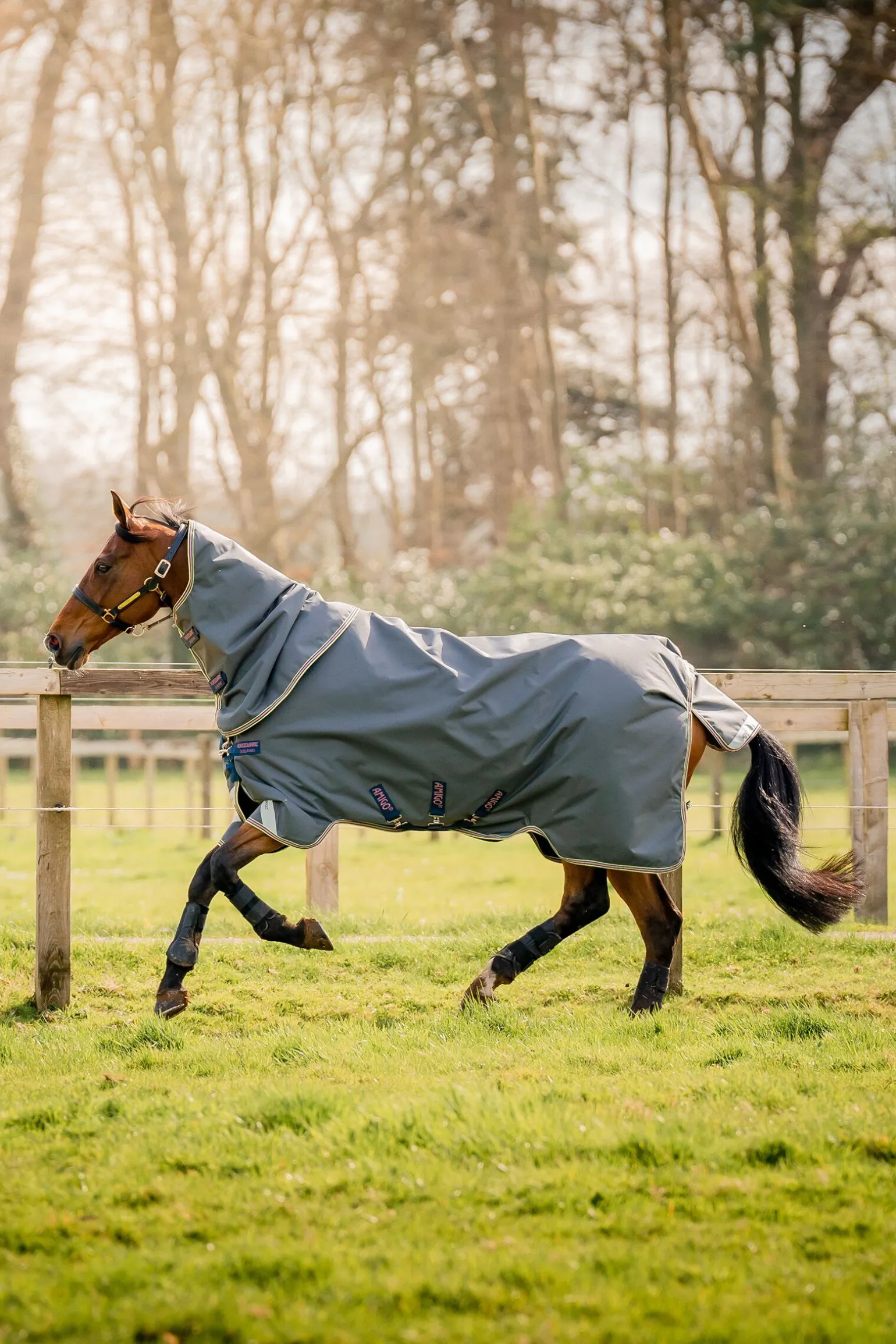 Horseware Amigo Bravo 12 Plus utedekken med avtakbar hals, 0g