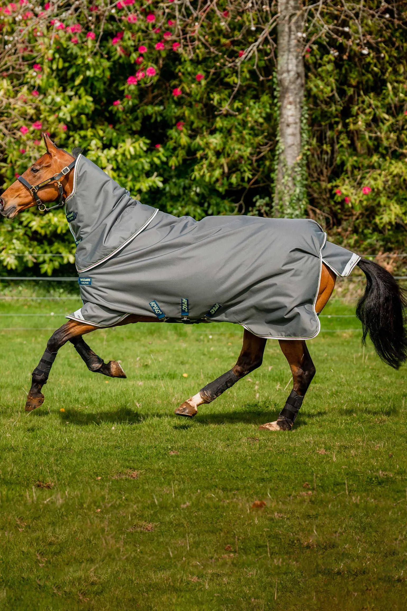 Horseware Amigo Bravo 12 Plus utedekken, 250g
