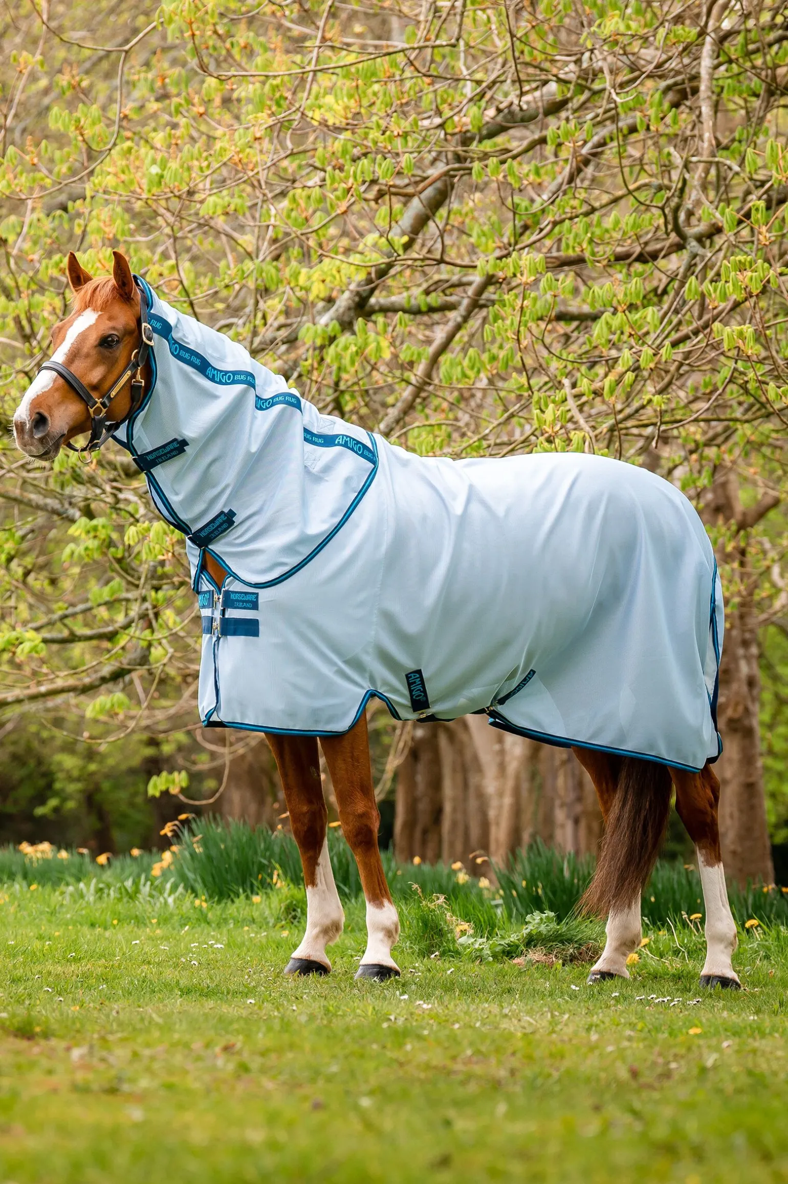 Horseware Amigo Fluedekken