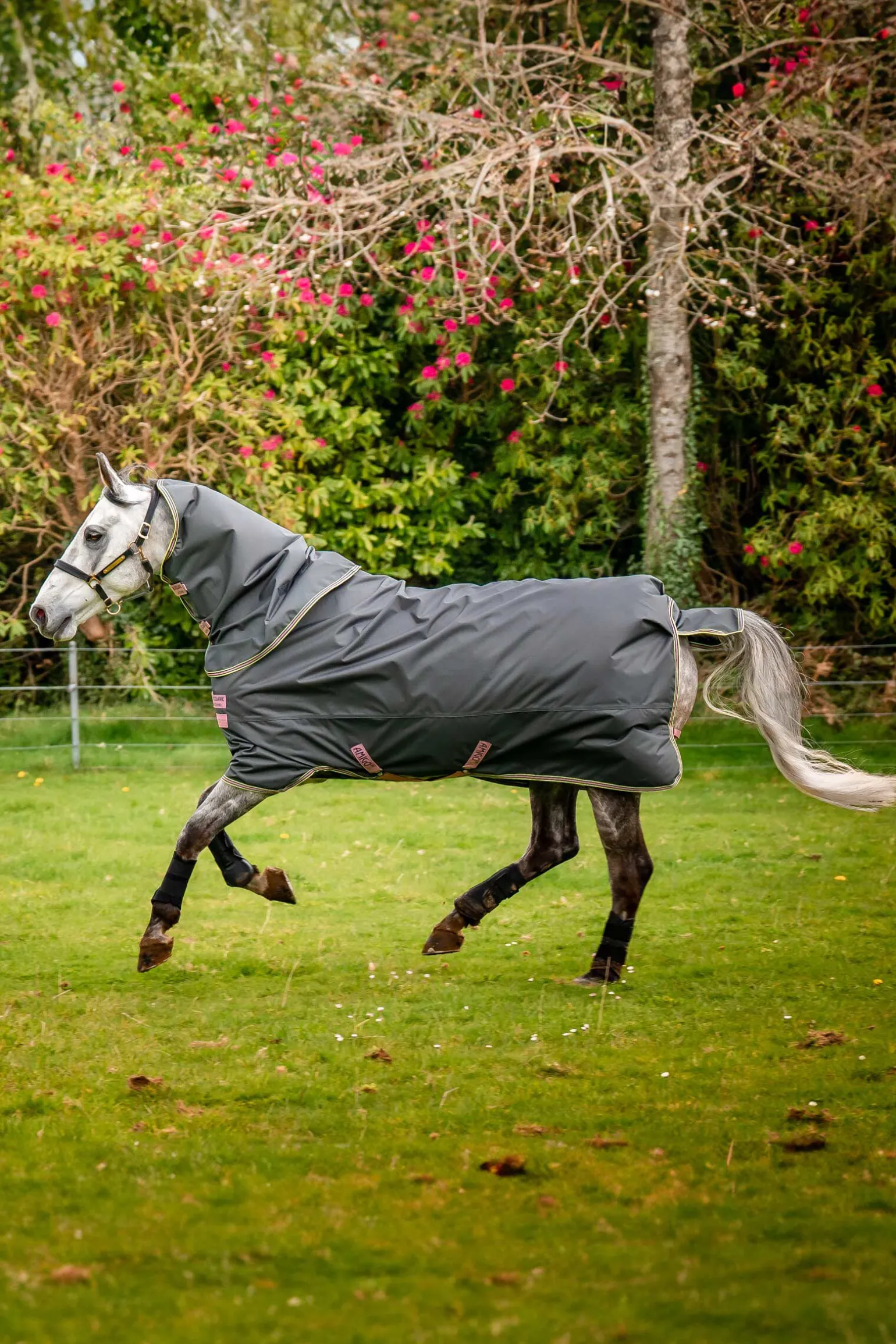 Horseware Amigo Hero Ripstop Plus utedekken med avtakbar hals, 0g