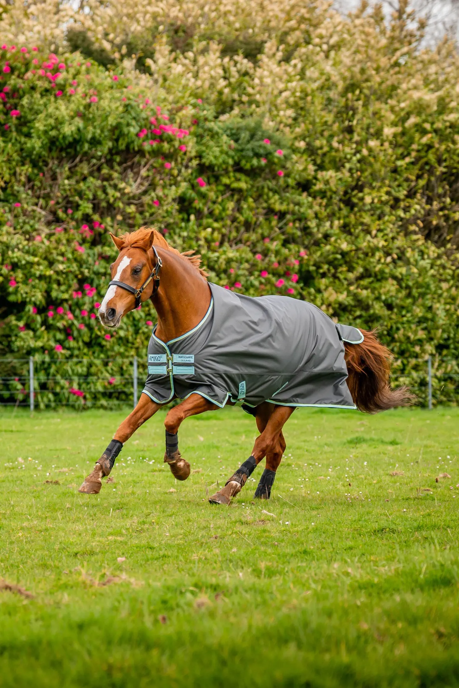 Horseware Amigo Hero Ripstop Plus utedekken med avtakbar hals, 200g