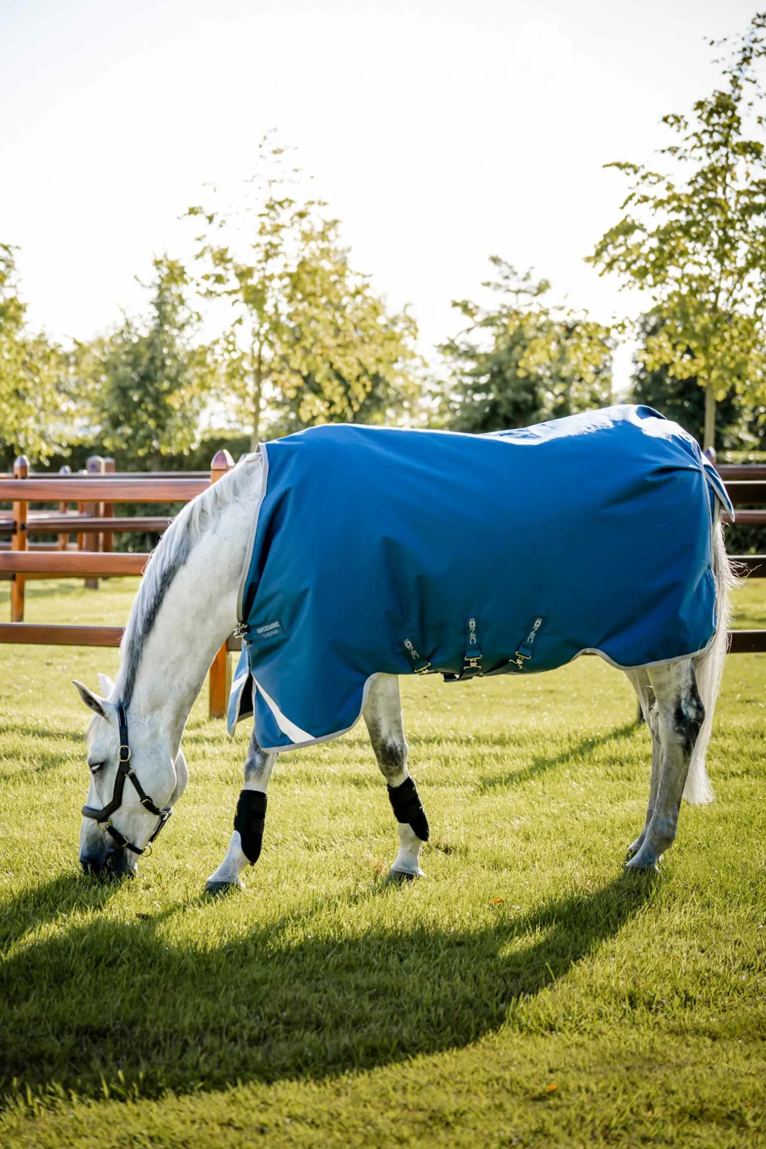 Horseware Ionic Therapy Utedekken, 100g
