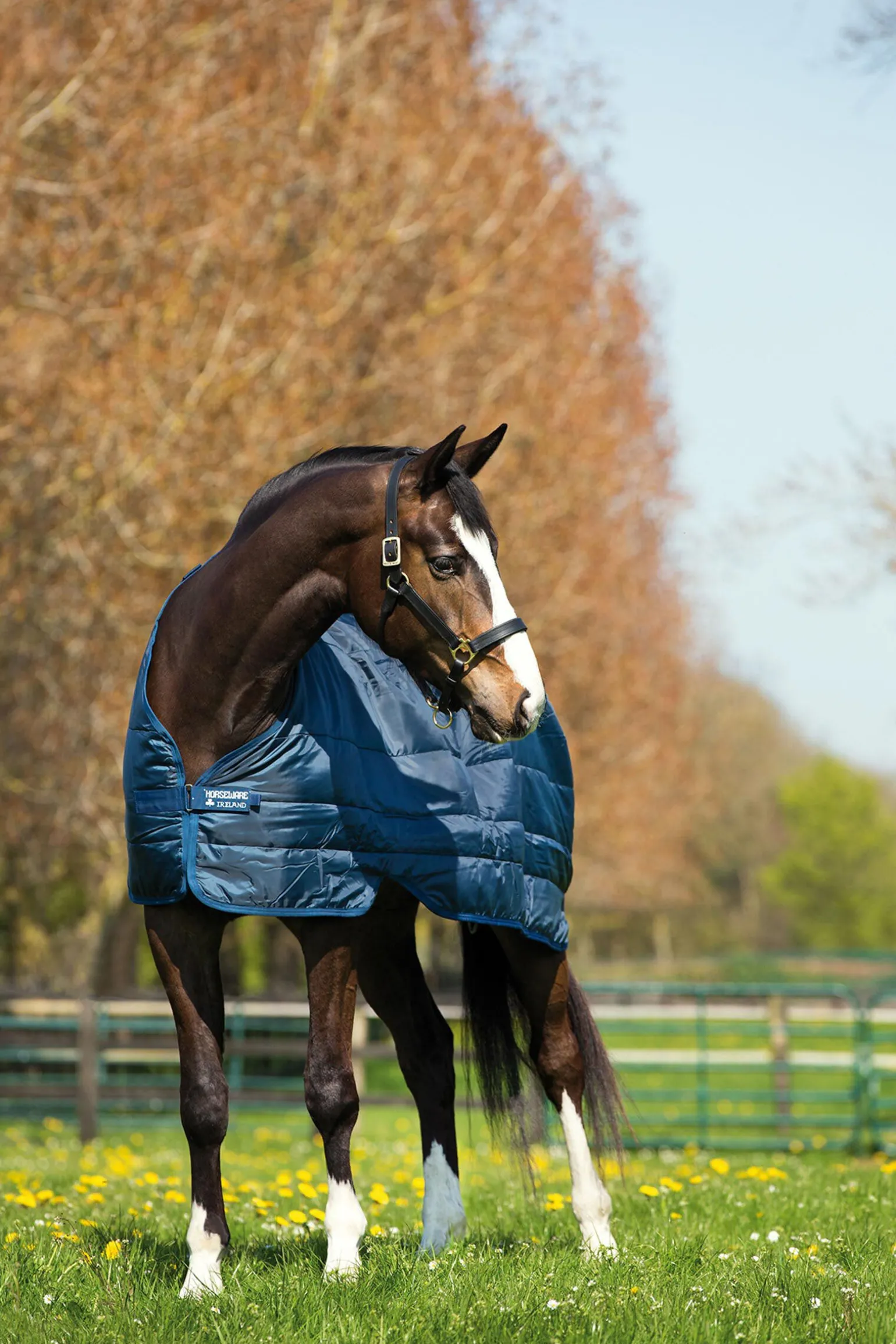 Horseware Liner underteppe, 100g