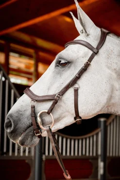 Horseware Micklem 2 Competition hodelag med gummitøyler