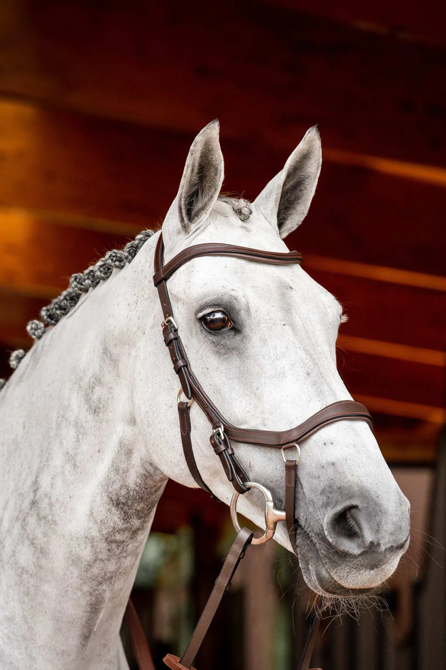 Horseware Micklem 2 Competition hodelag med gummitøyler