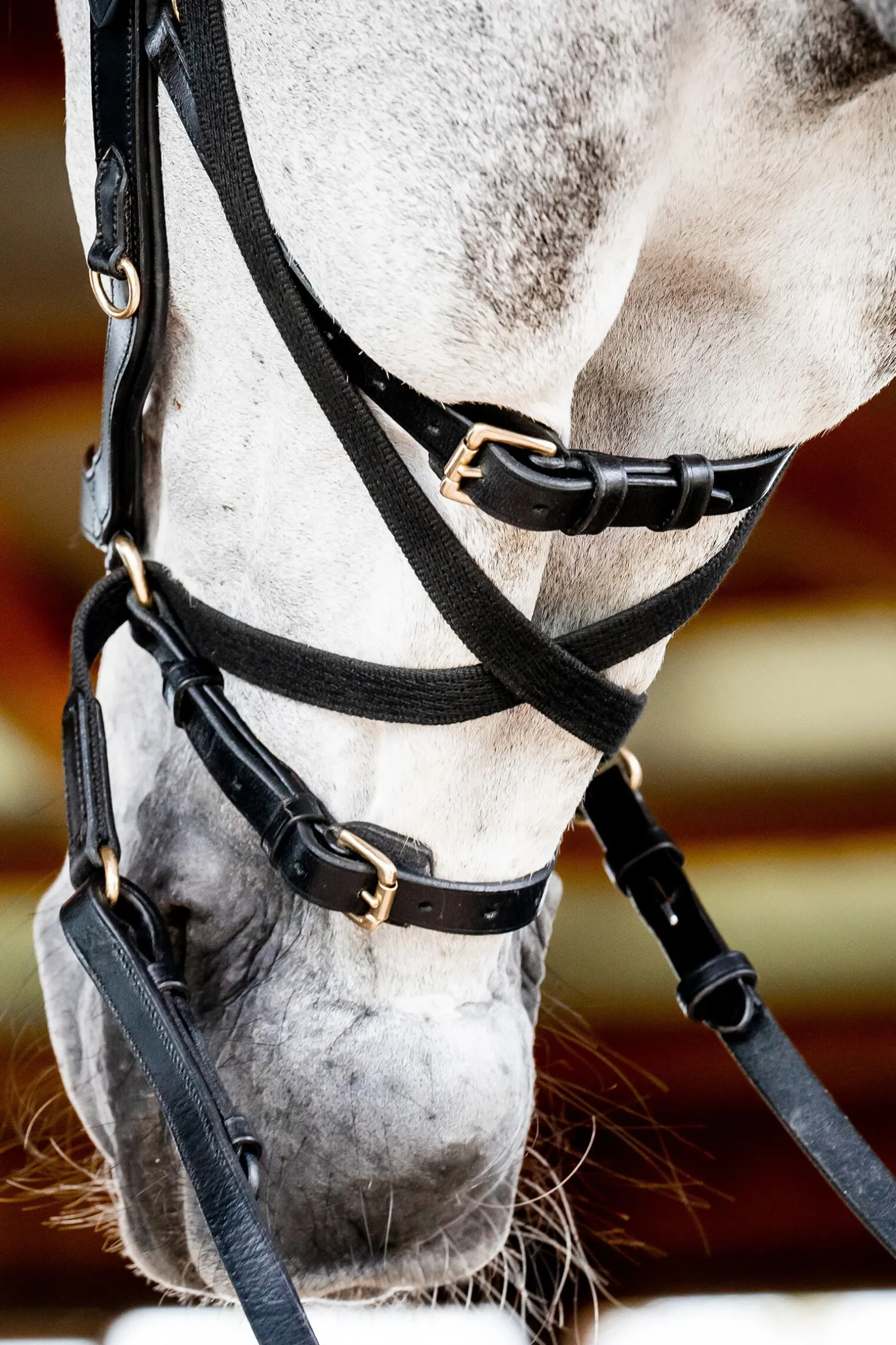 Horseware Micklem 2 Multi Hodelag