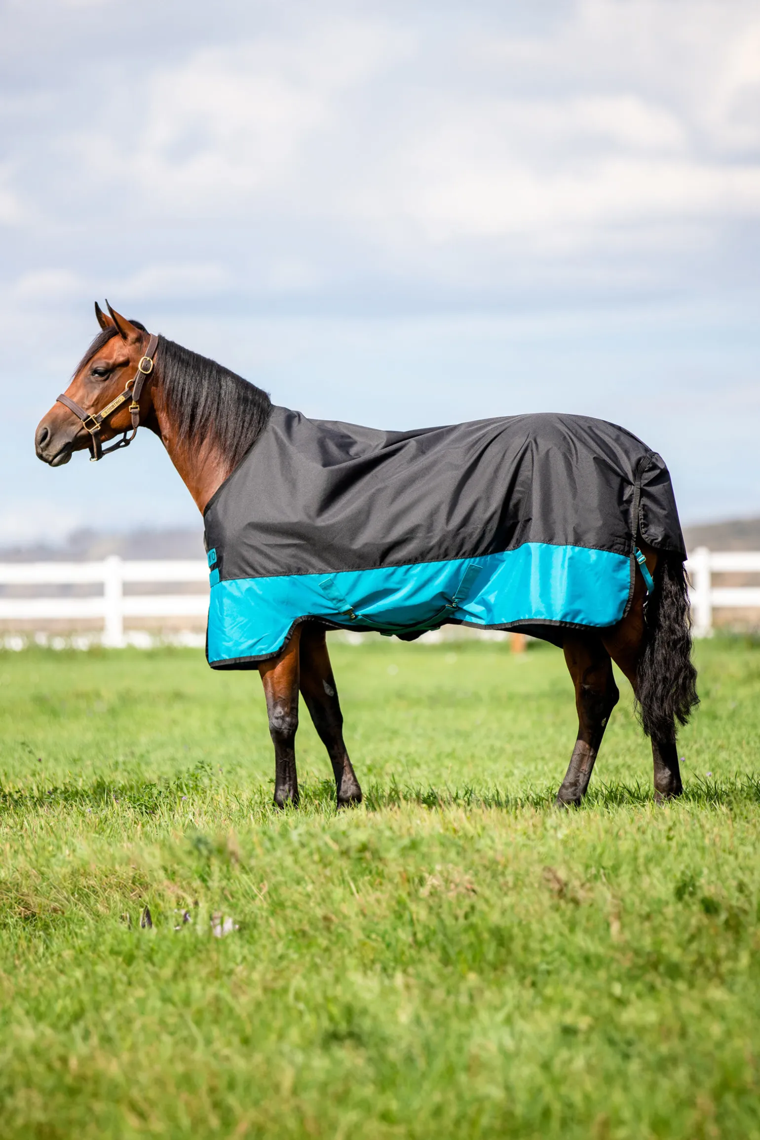 Horseware Mio utedekken, 0g