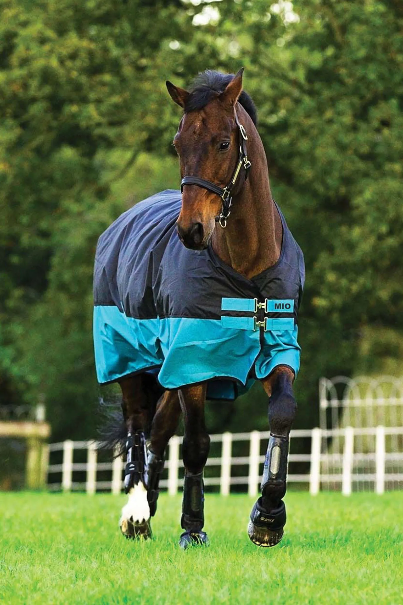 Horseware Mio utedekken, 0g