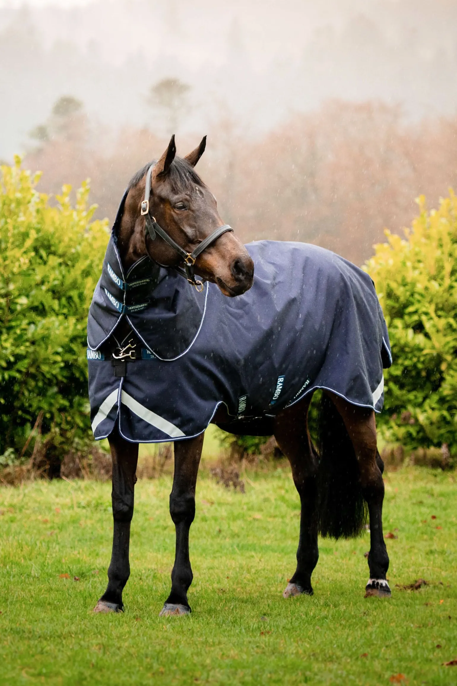 Horseware Rambo Duo Force utedekken med avtakbar hals, 0 gram