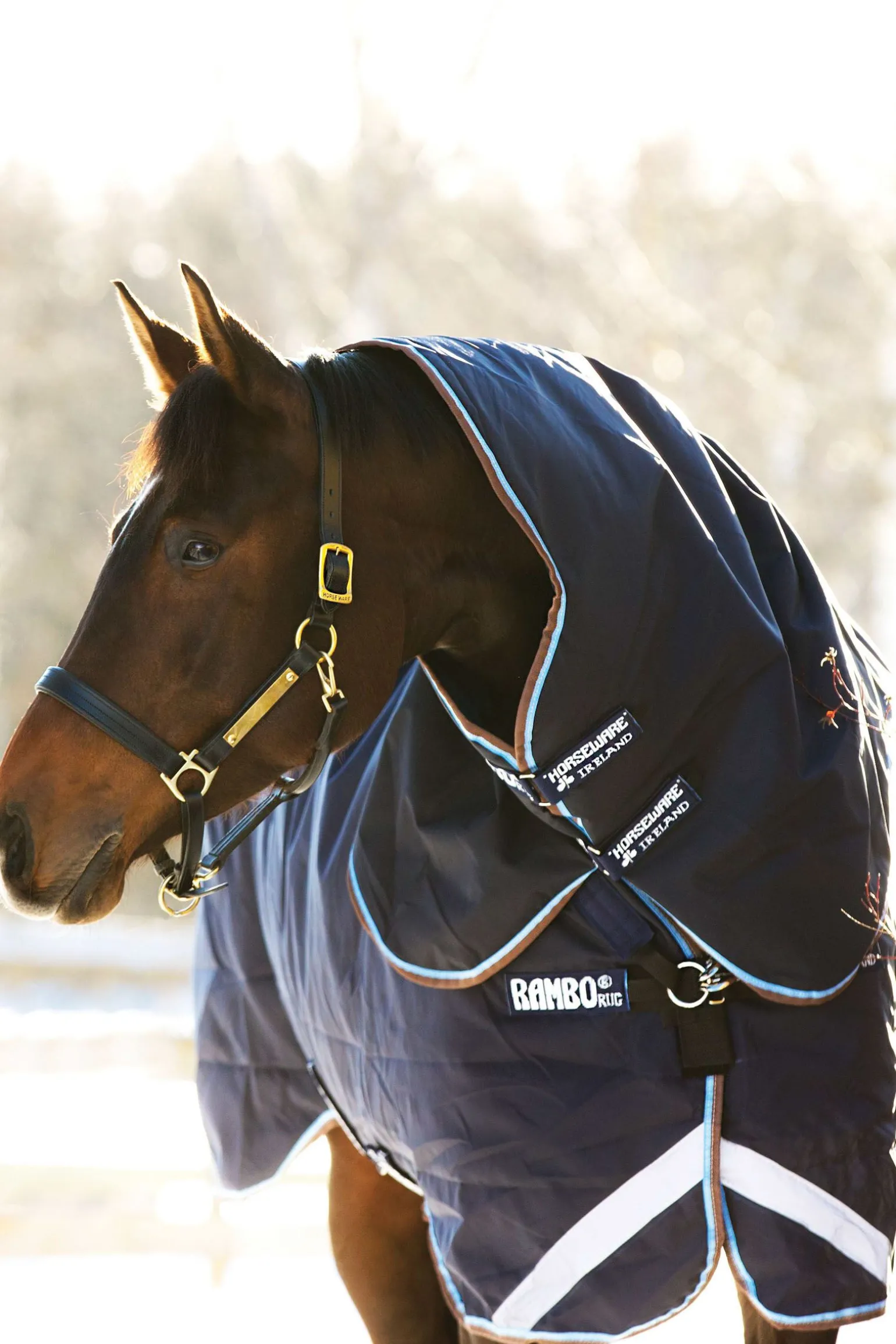 Horseware Rambo Duo utedekken med avtakbar hals, 100 gram