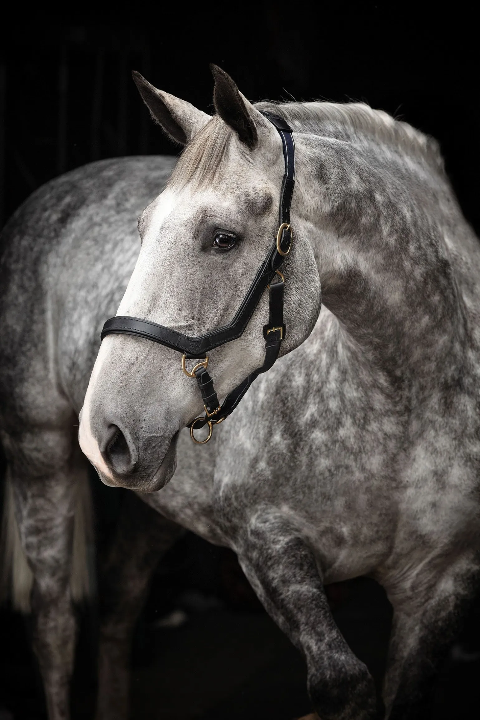 Horseware Rambo Micklem grime
