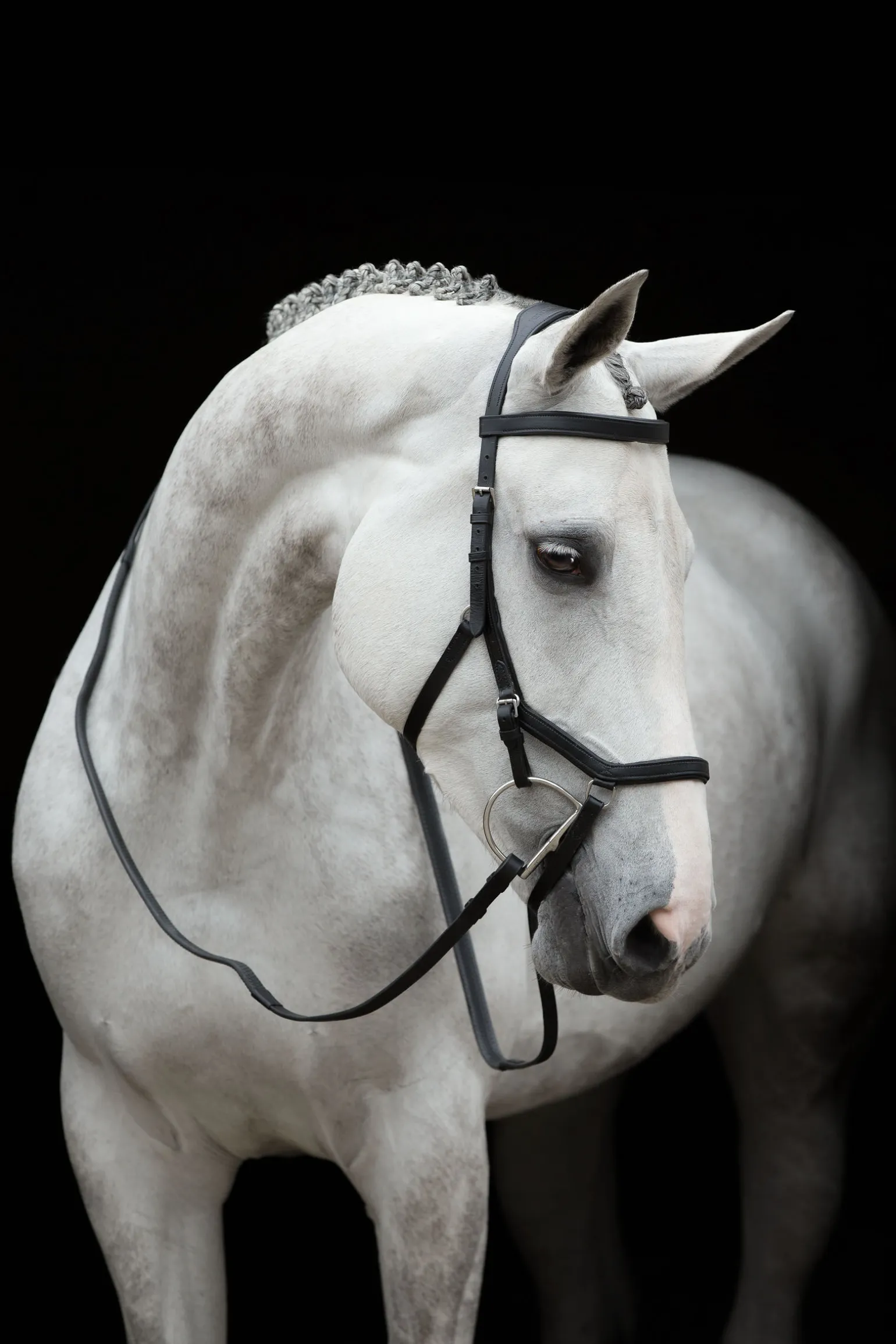 Horseware Rambo Micklem stevnehodelag