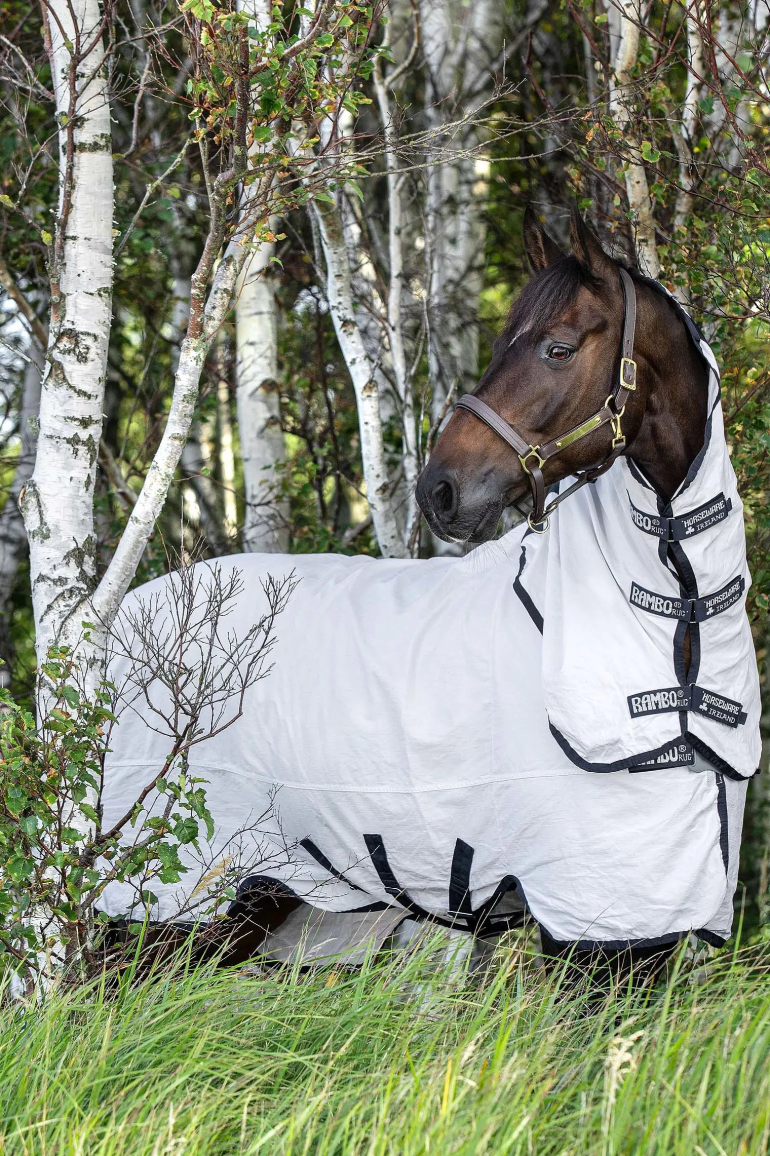 Horseware Rambo Natura Fluedekken med avtagbart halsstykke