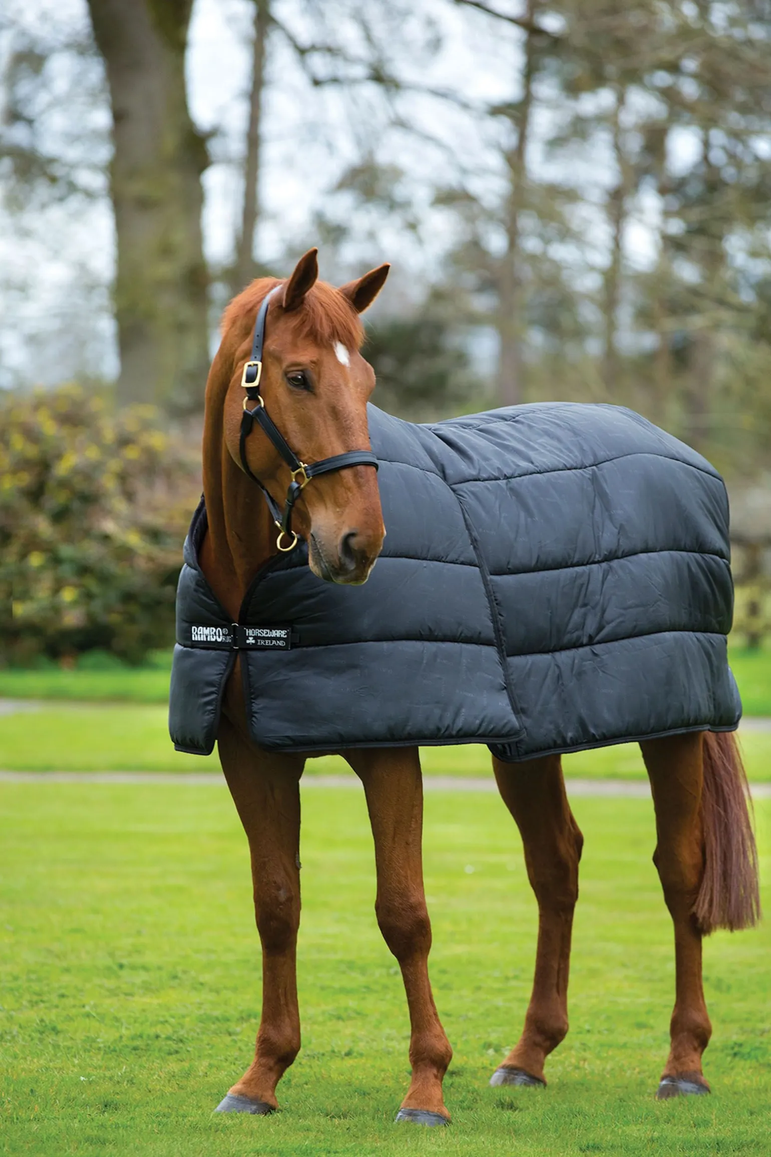 Horseware Rambo Optimo Liner innerdekken 100g