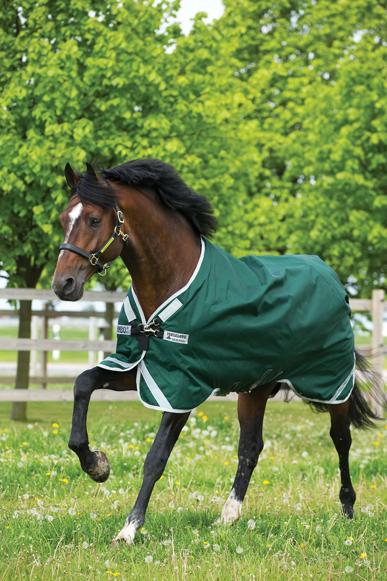 Horseware Rambo Original utedekken med beinbuer, 0 gram