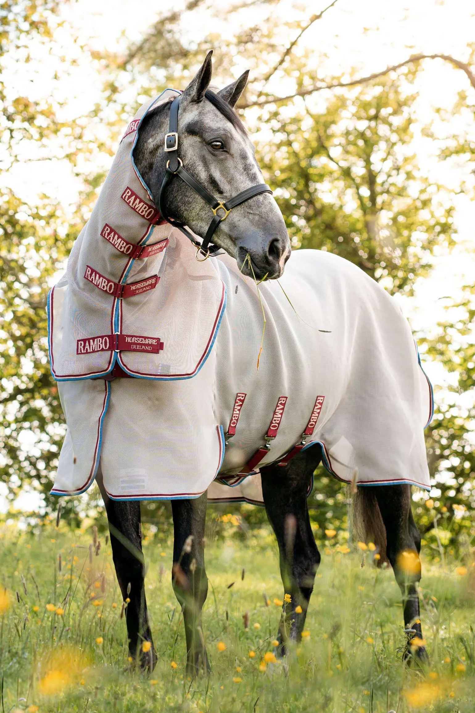 Horseware Rambo Protector fluedekken med avtakbar nakkedel og Disc-lukking