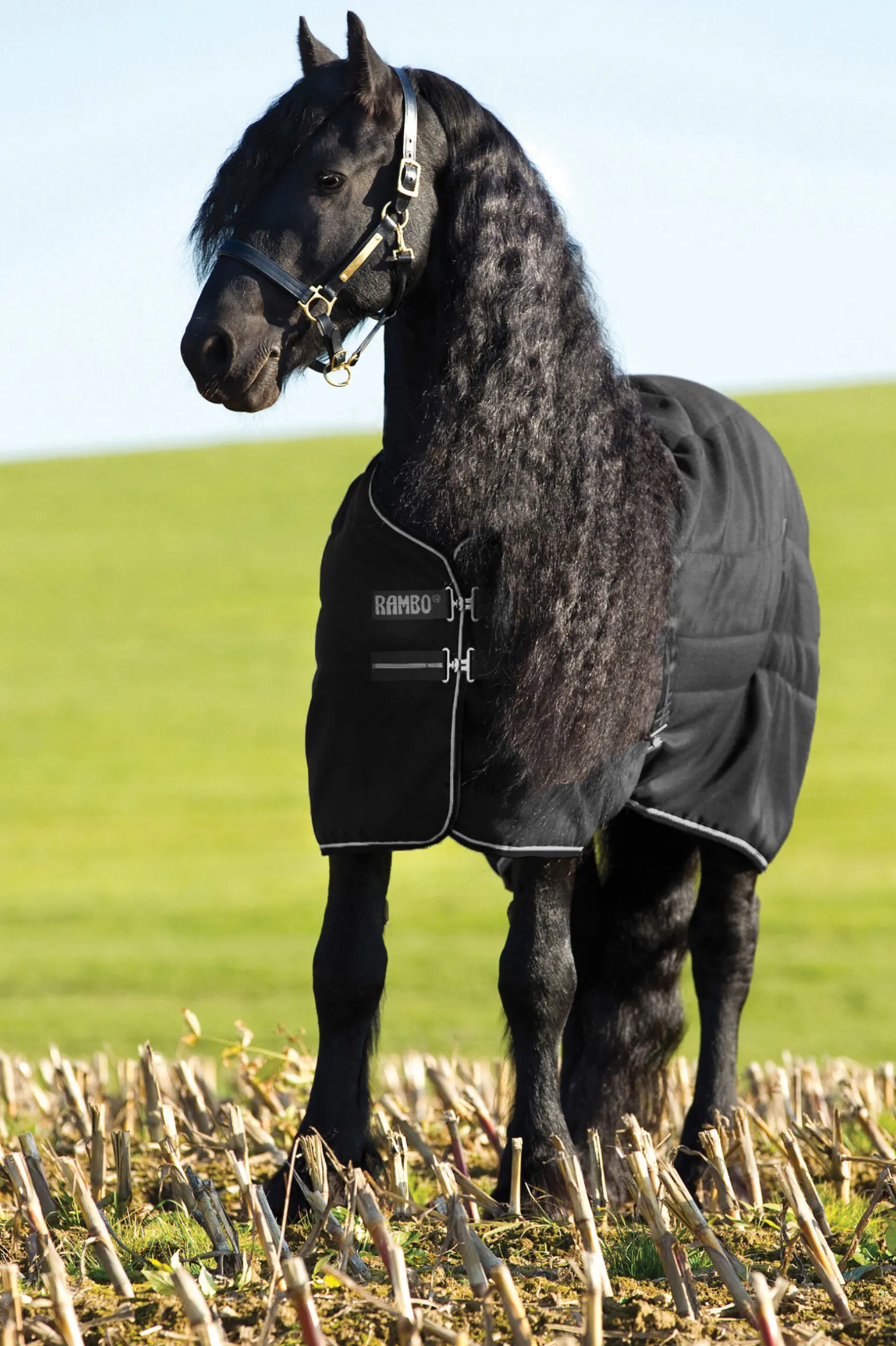 Horseware Rambo stalldekken, 100 gram