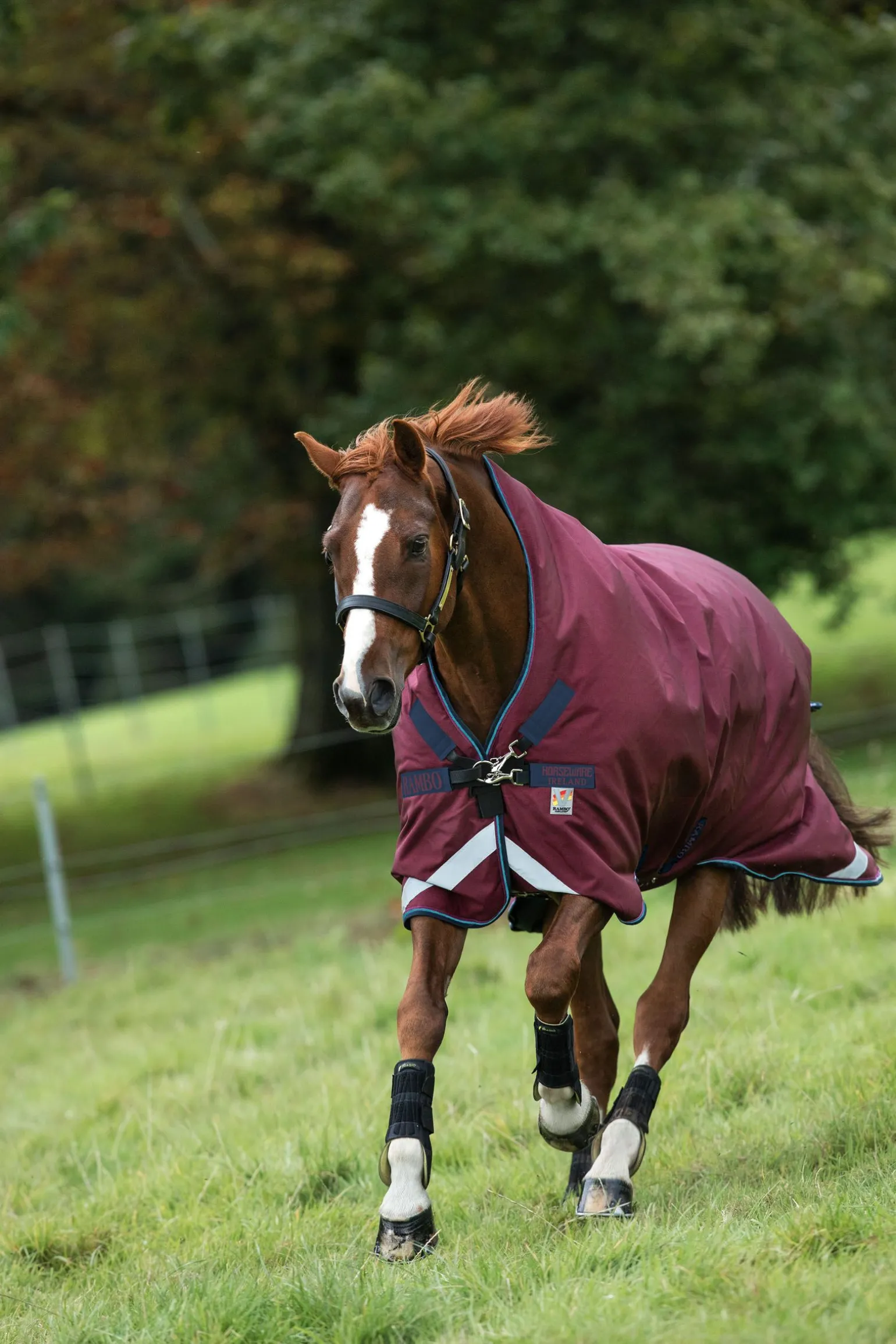 Horseware Rambo Wug utedekken, 200 gram
