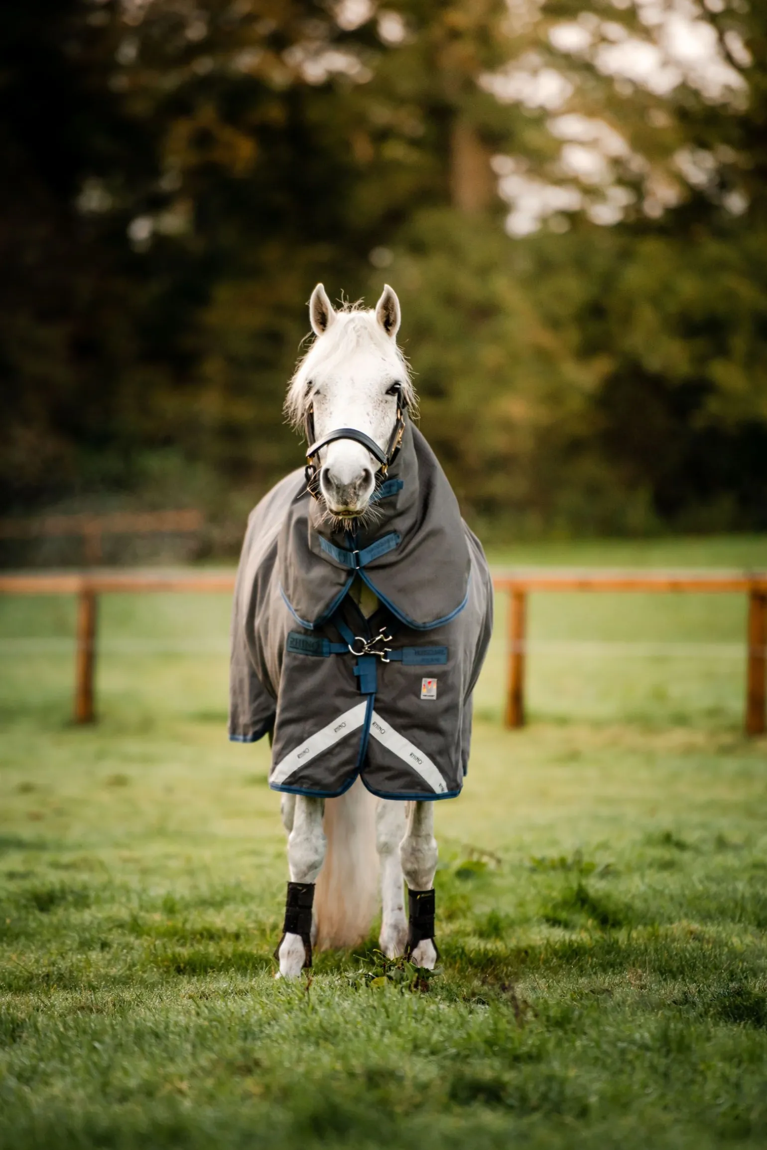 Horseware Rhino Hexstop Plus Vari-Layer utedekken, 250 gram