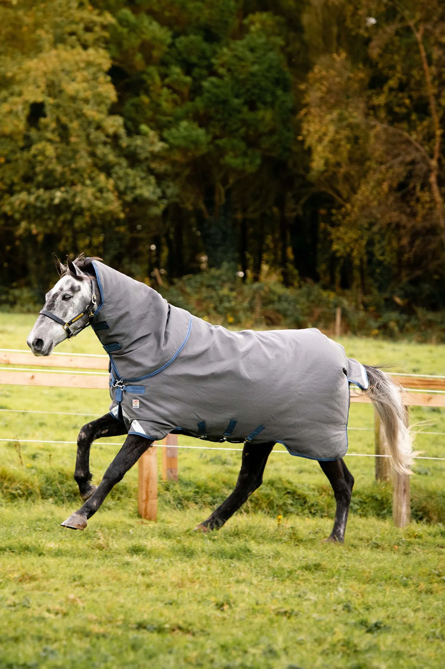 Horseware Rhino Plus HexSTOP Vari-Layer Beitedekken, 100g