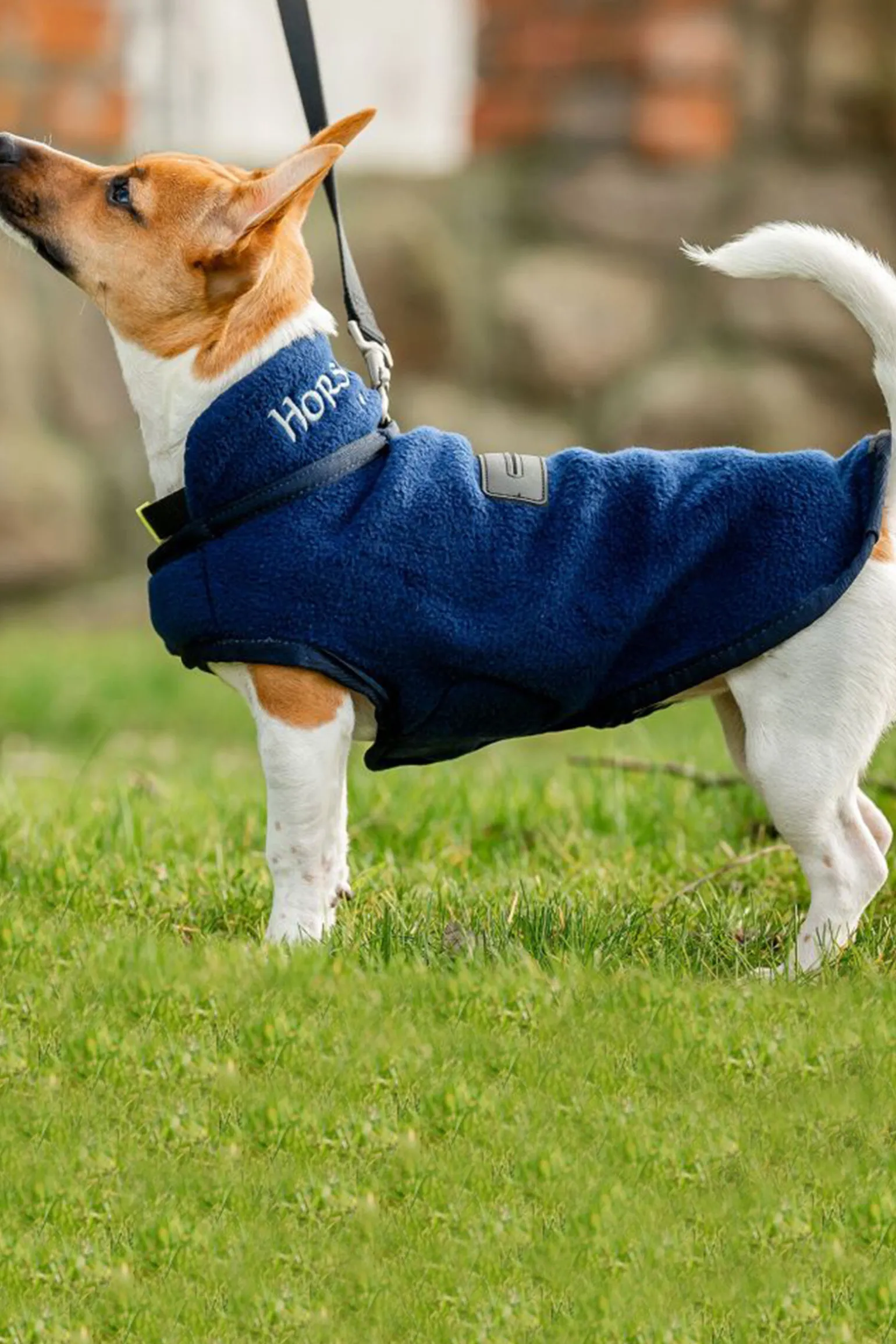 Horseware Signature Hundefleece-teppe