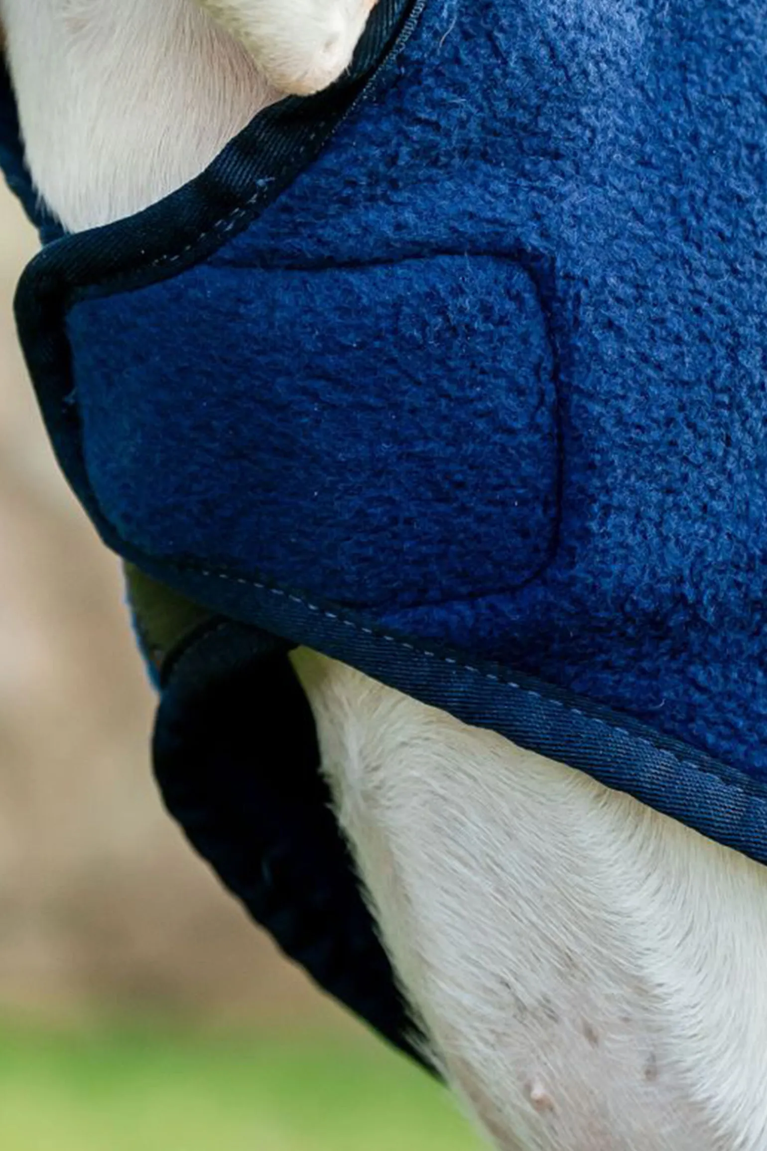 Horseware Signature Hundefleece-teppe