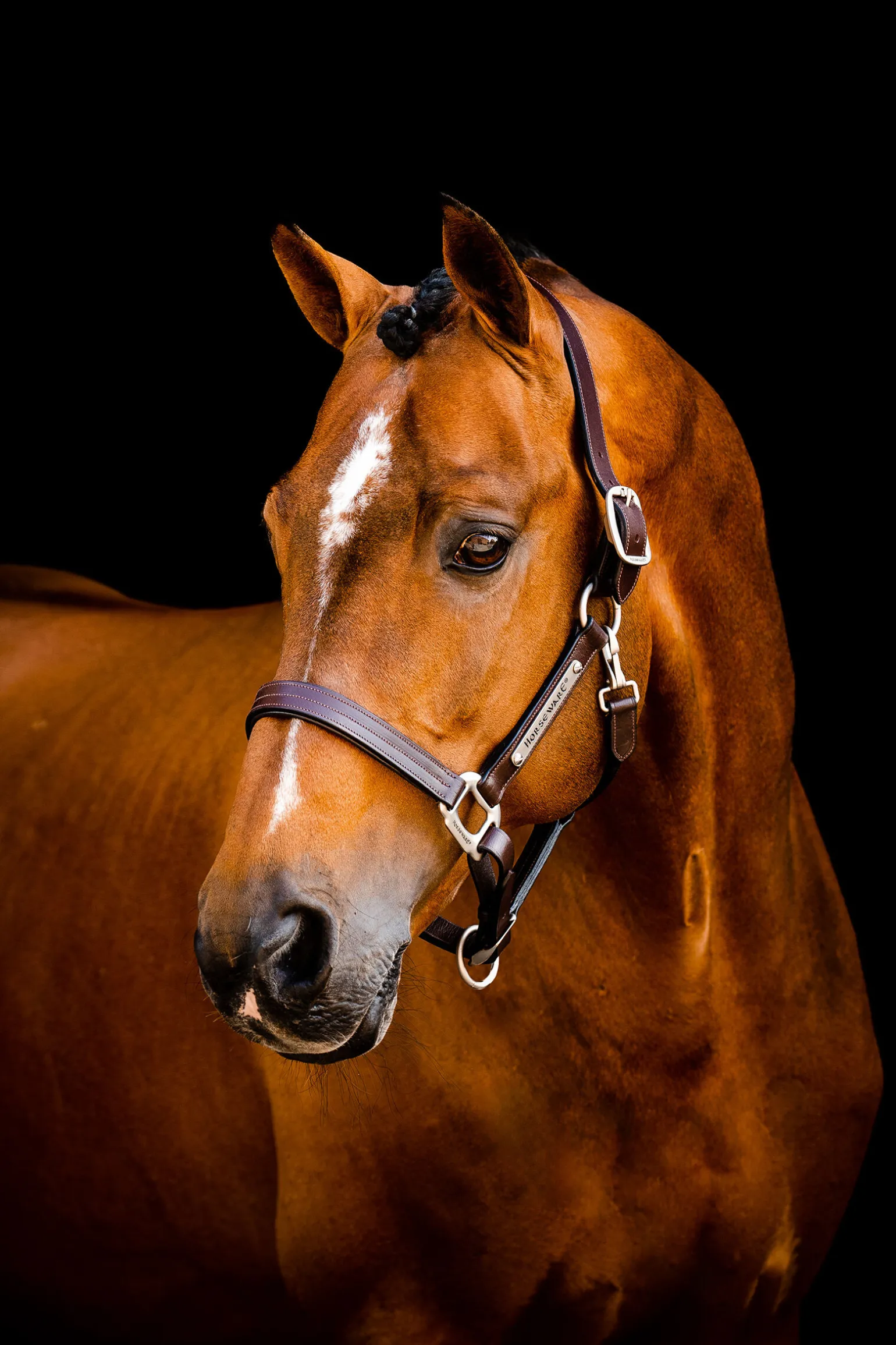 Horseware Signature-grime i lær
