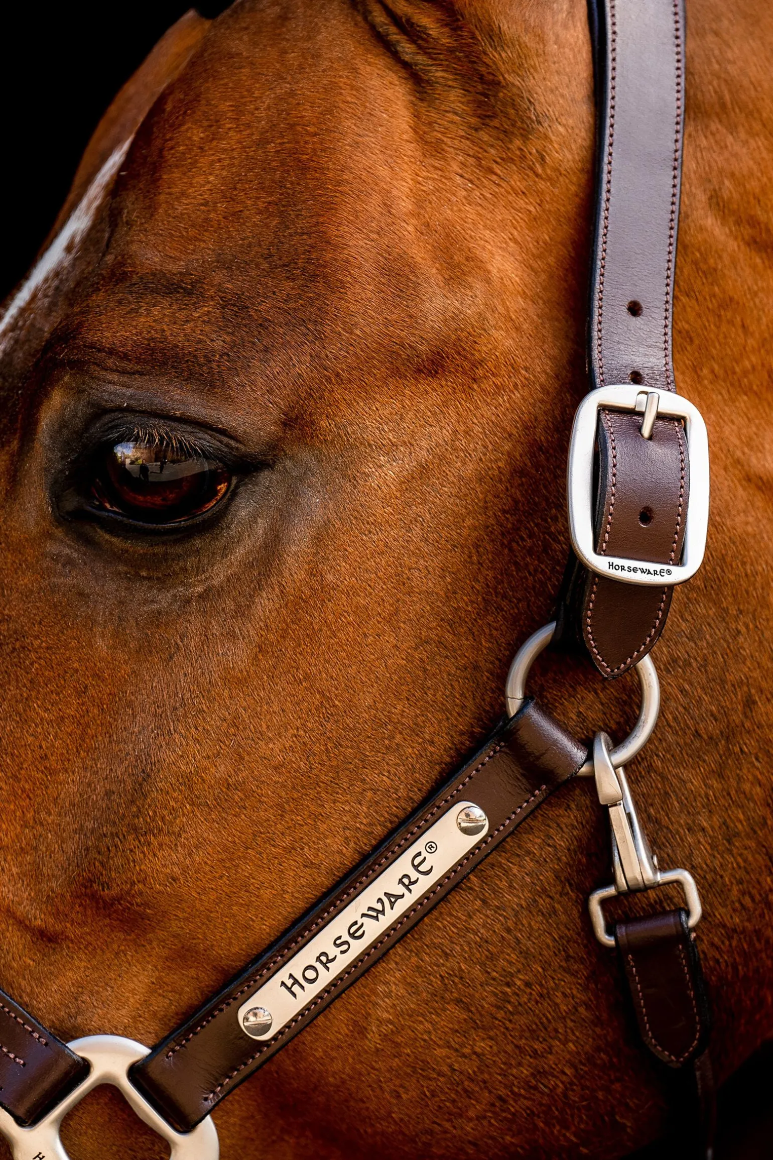 Horseware Signature-grime i lær