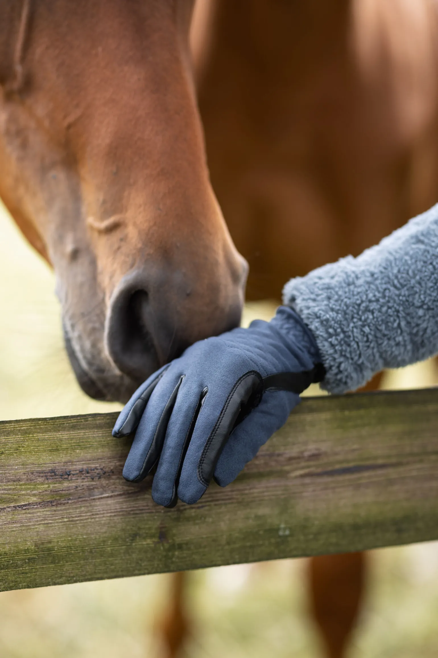 Horze JIMENA helårs ridehansker