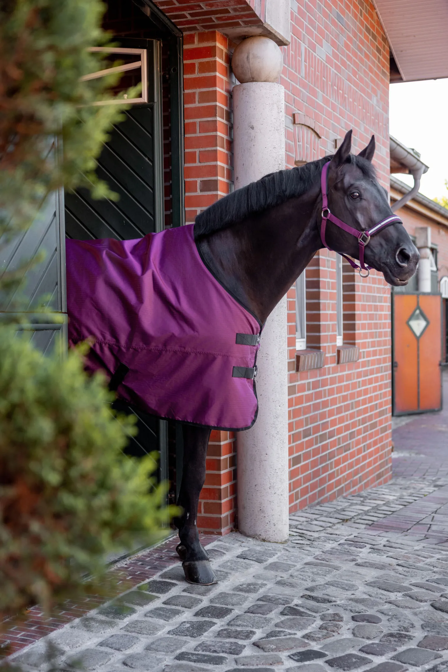 Horze Newbridge utedekken, 100g