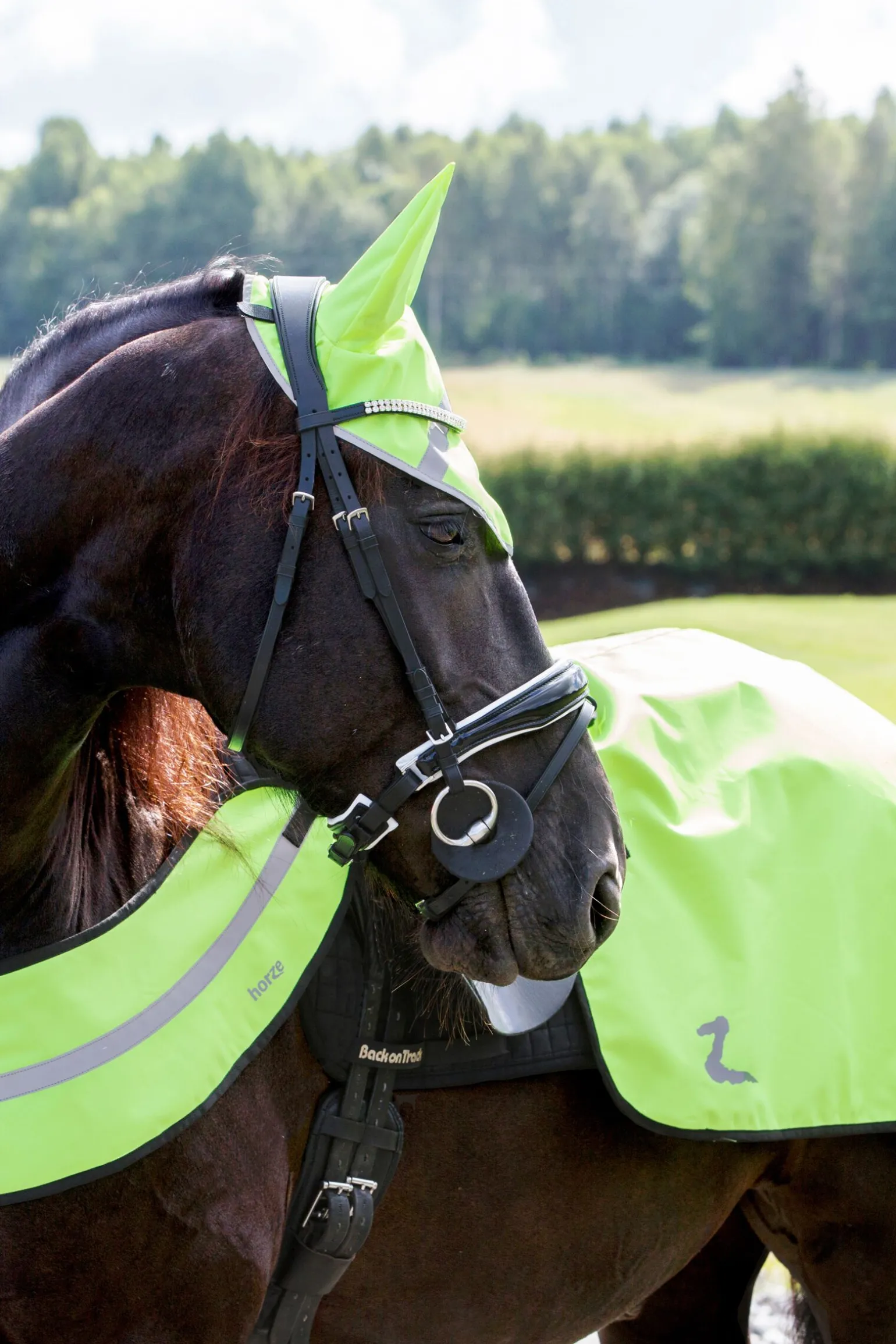 Horze ridedekken, refleks