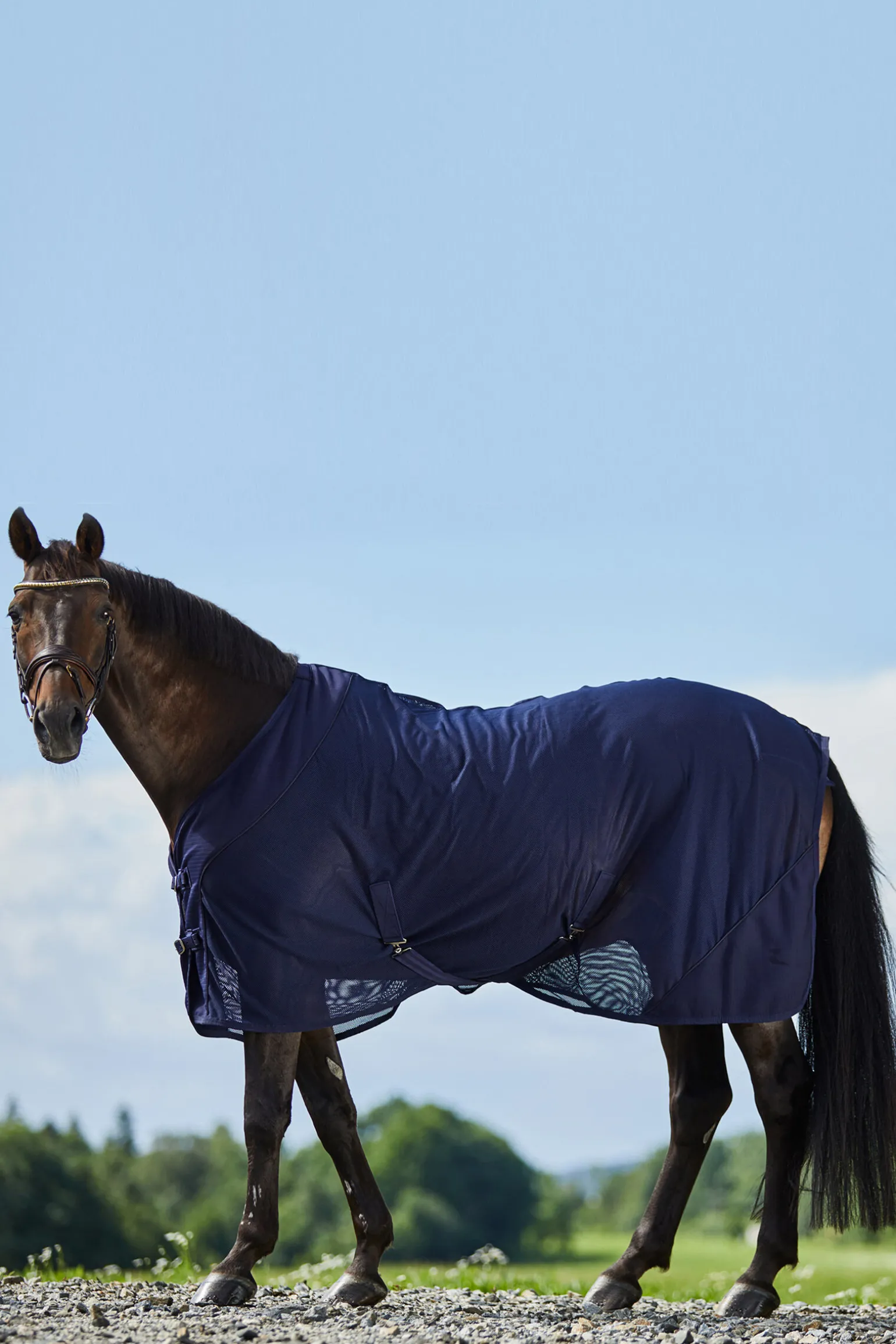 Horze Turin netting cooler